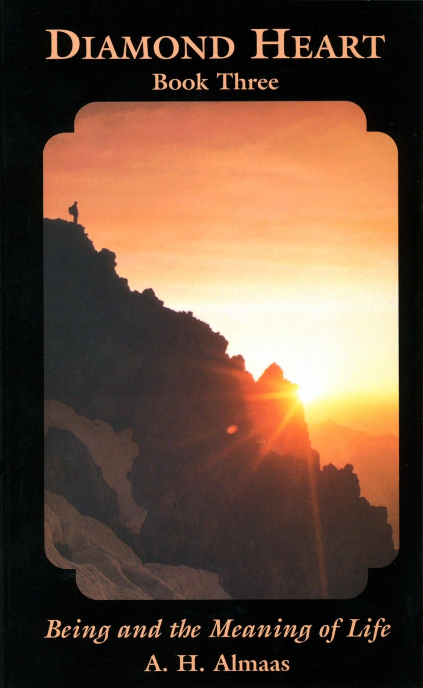 Diamond Heart: Book Three: Being and the Meaning of Life book cover