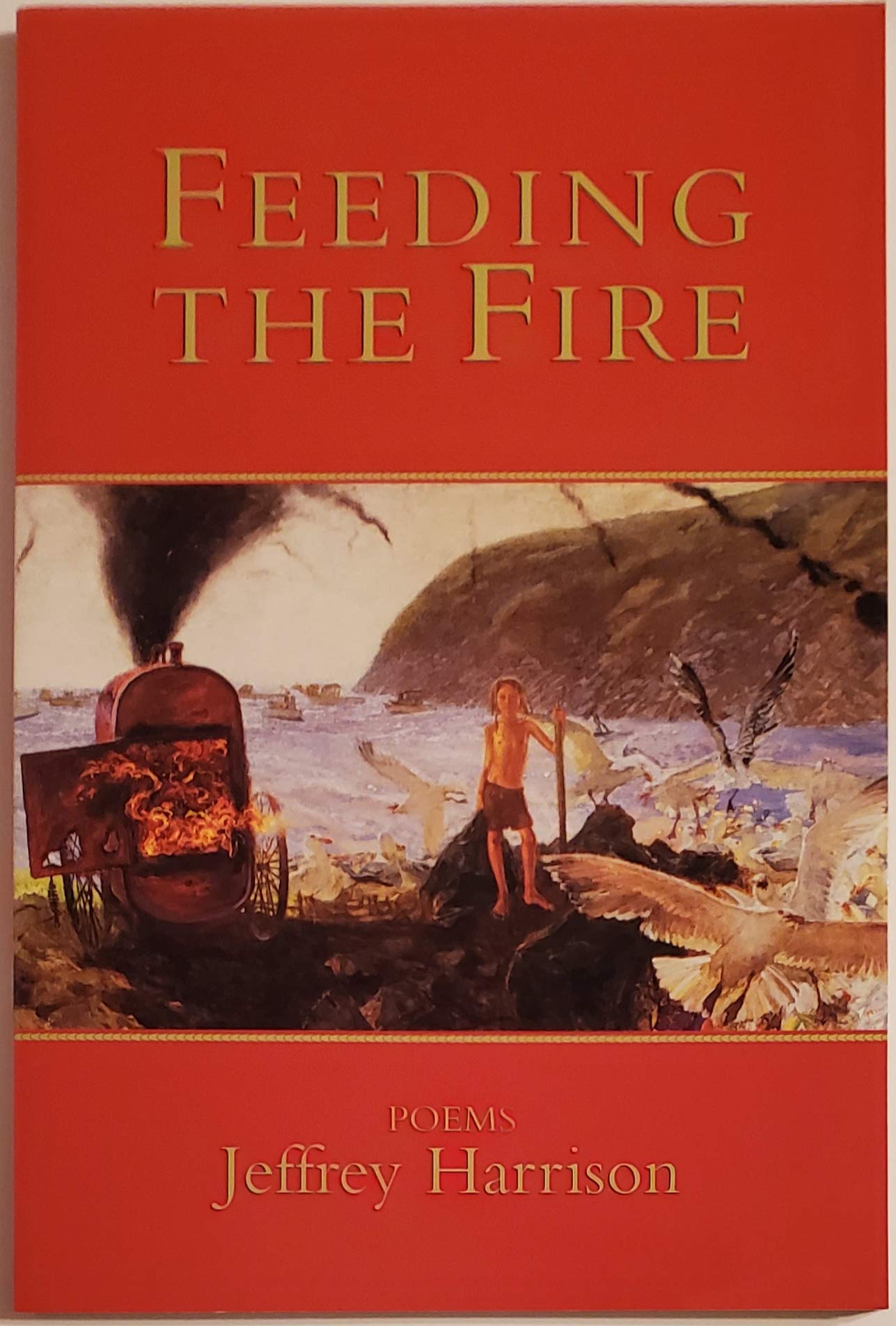 Feeding the Fire: Poems book cover