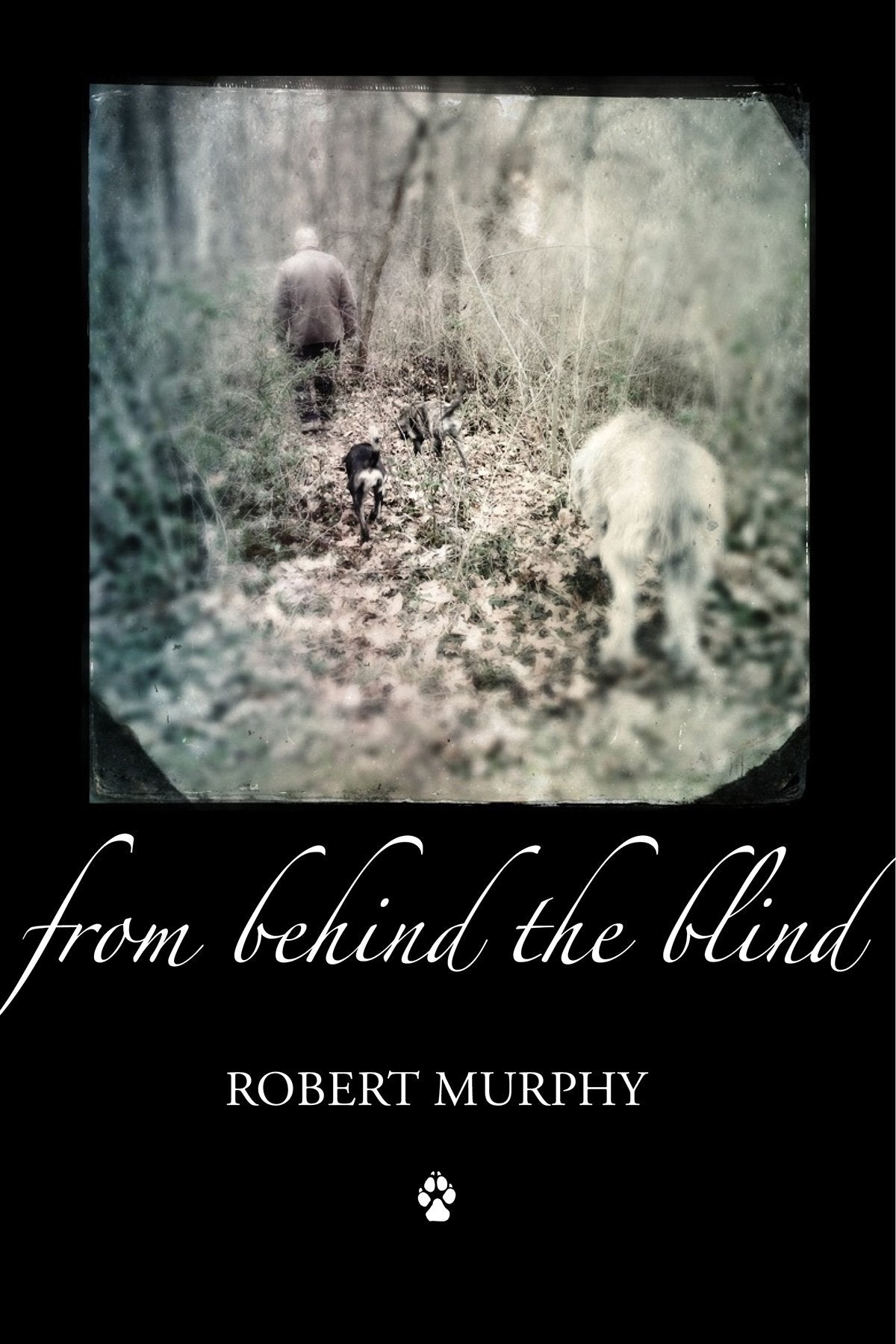 From Behind the Blind book cover