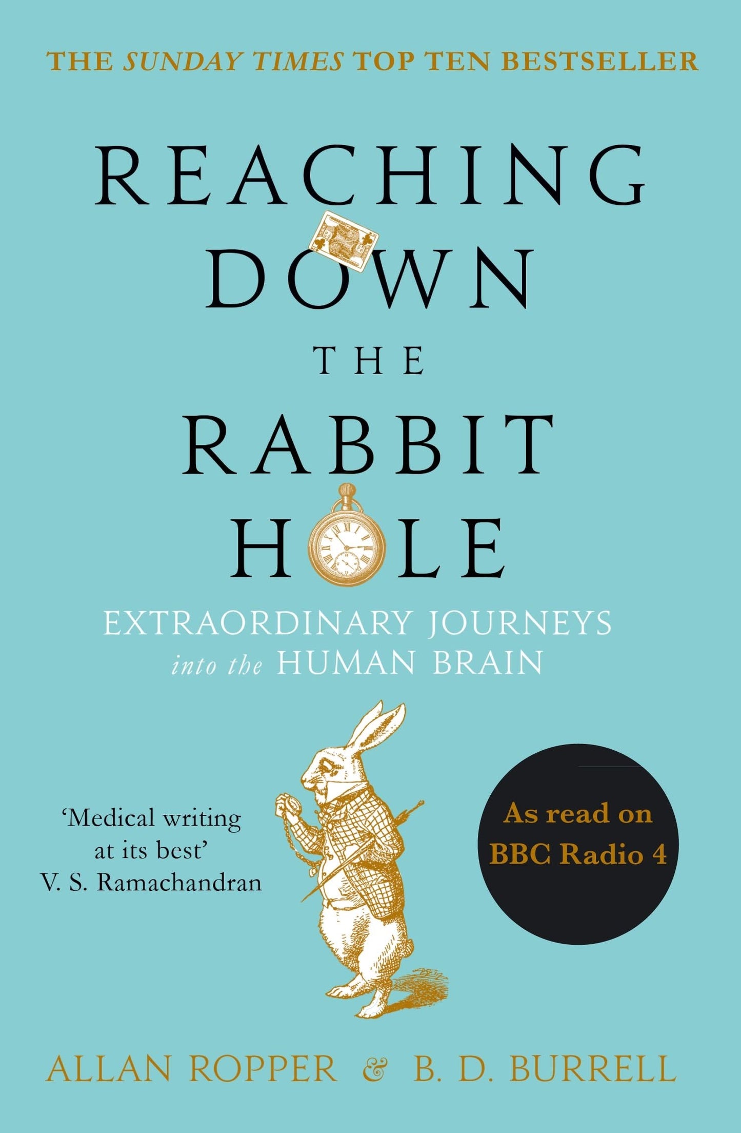 Reaching Down the Rabbit Hole: Extraordinary Journeys into the Human Brain book cover
