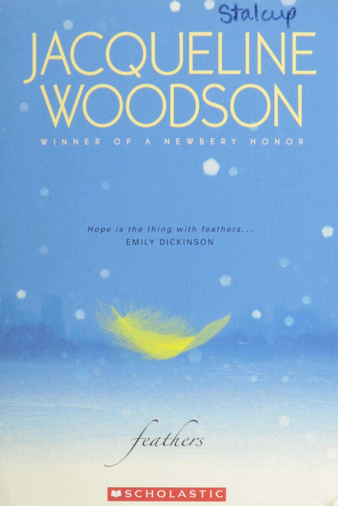 Feathers book cover