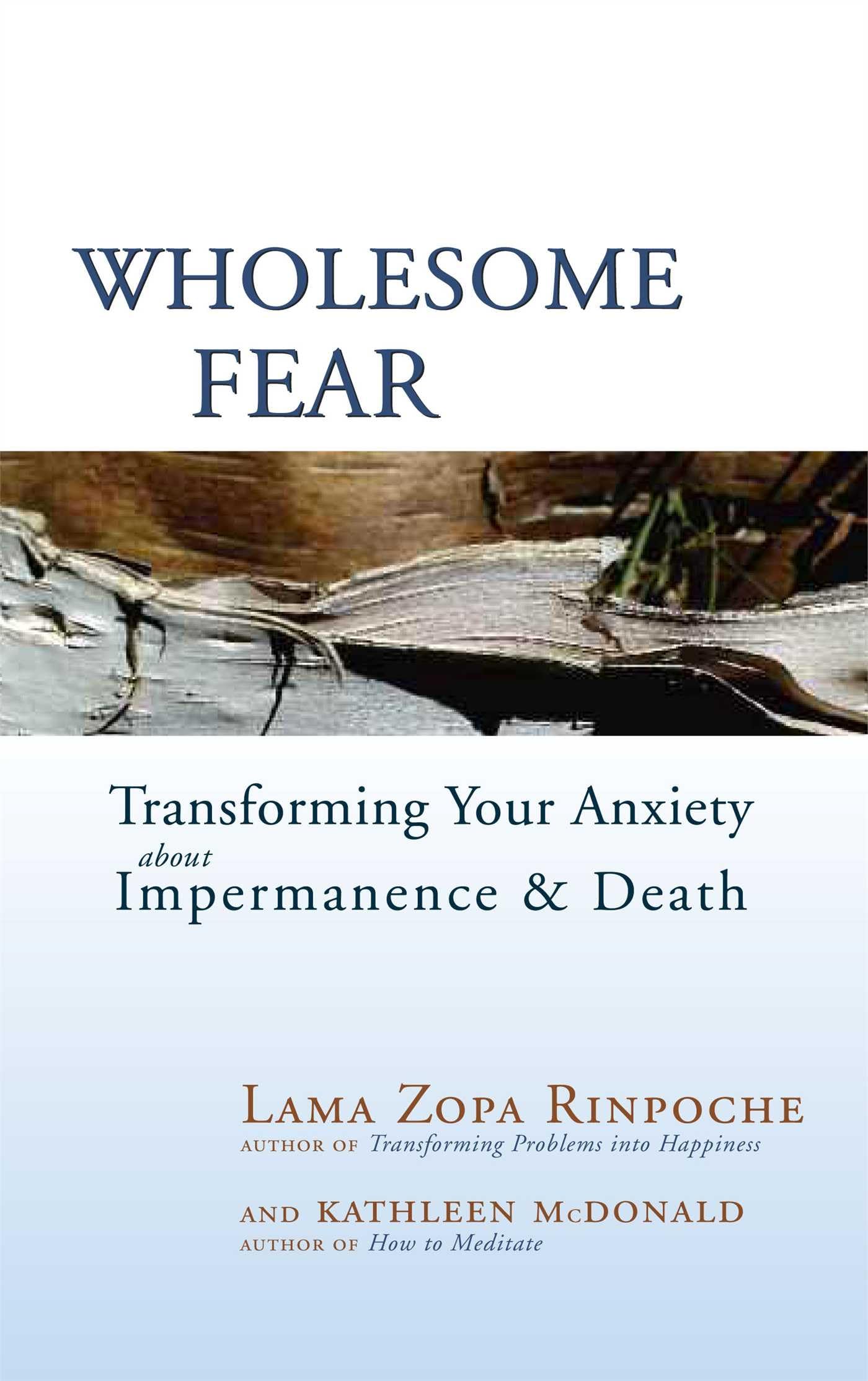 Wholesome Fear: Transforming Your Anxiety about Impermanence & Death book cover