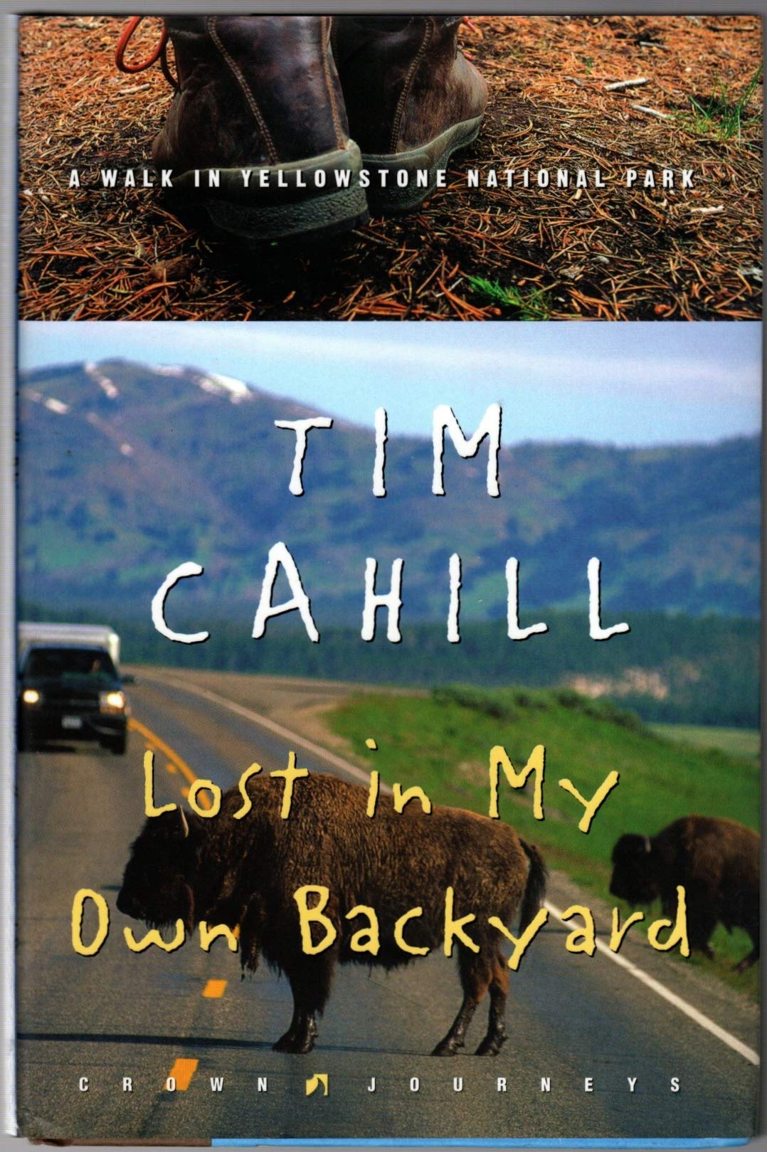 Lost in My Own Backyard: A Walk in Yellowstone National Park book cover