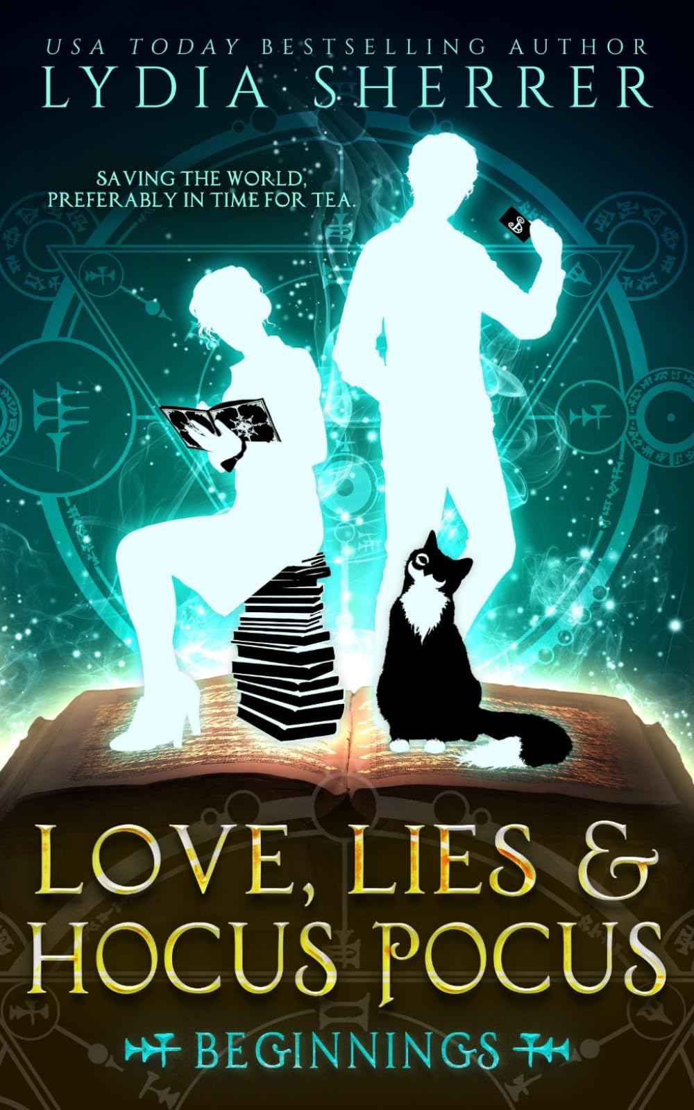 Love, Lies, and Hocus Pocus Beginnings book cover