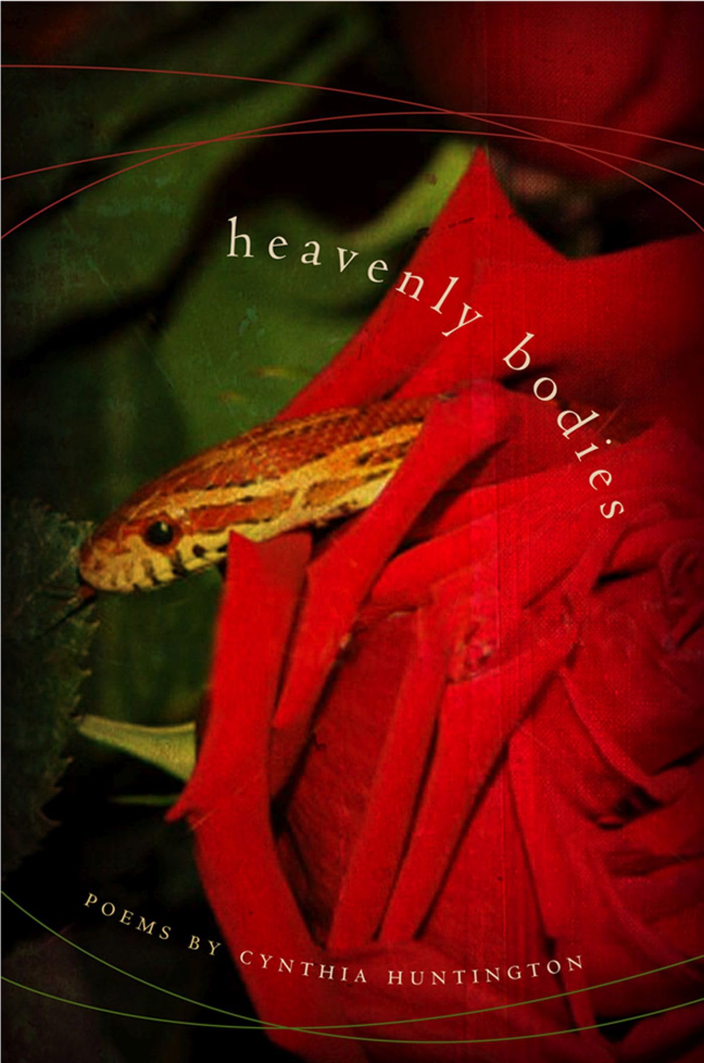 Heavenly Bodies book cover