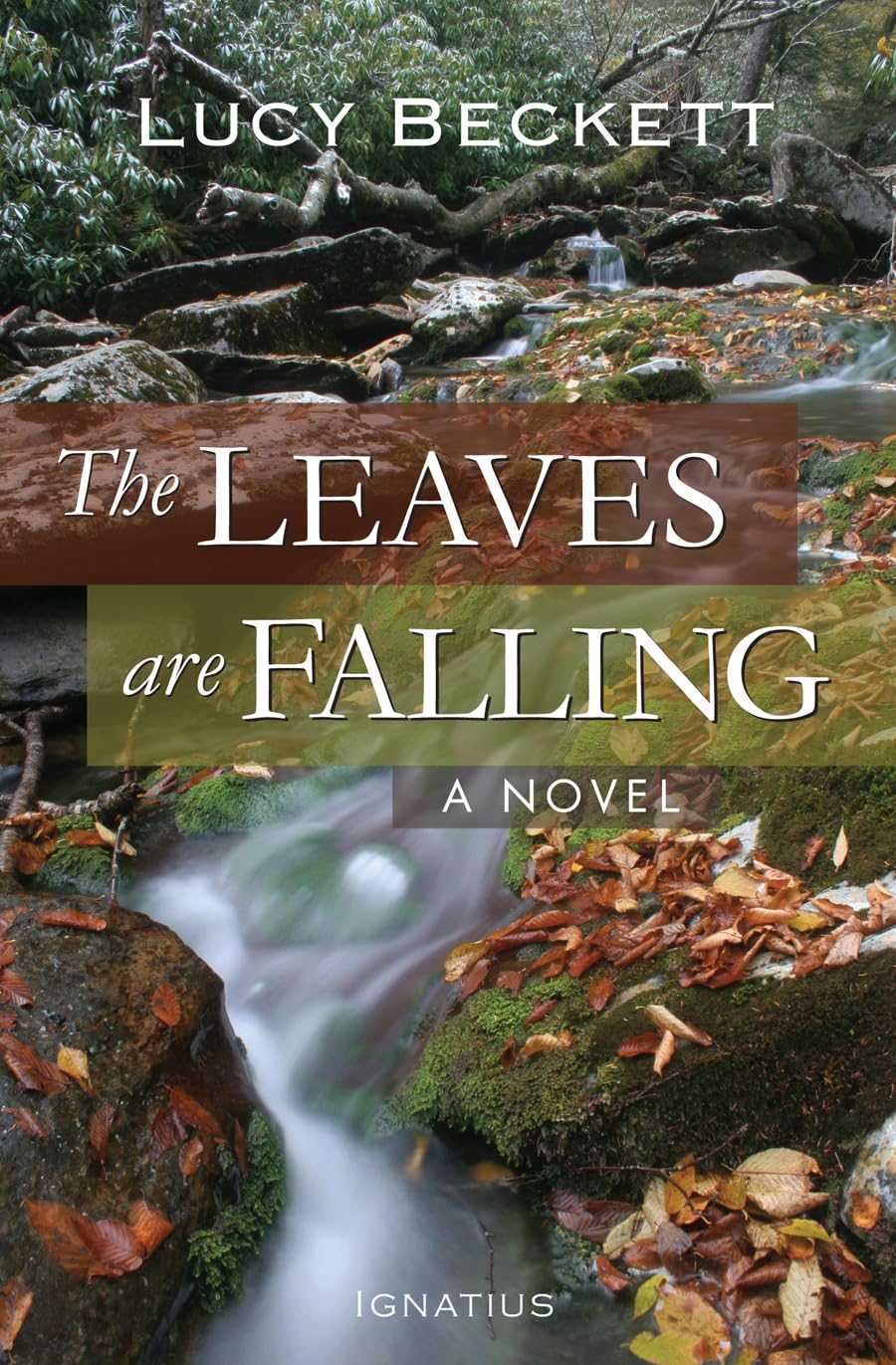 Leaves Are Falling book cover
