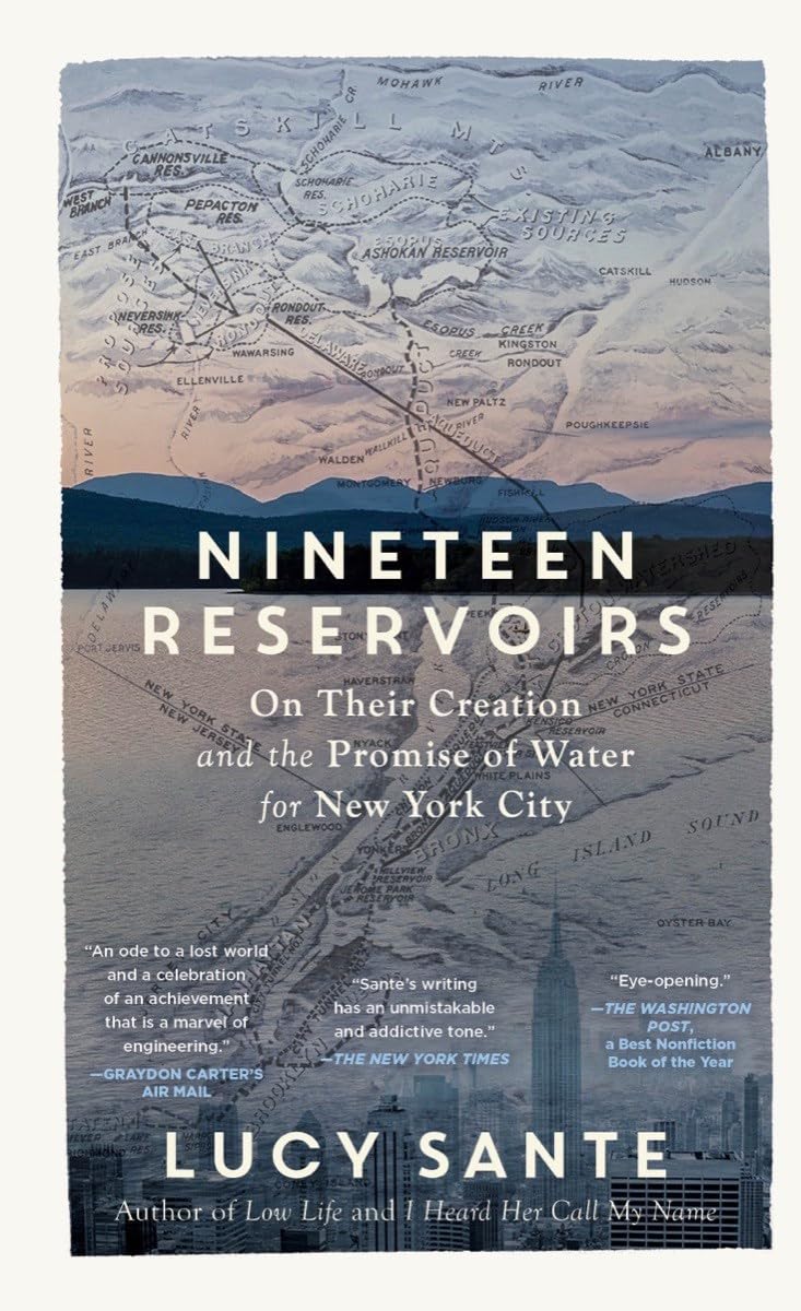 Nineteen Reservoirs: On Their Creation and the Promise of Water for New York City book cover