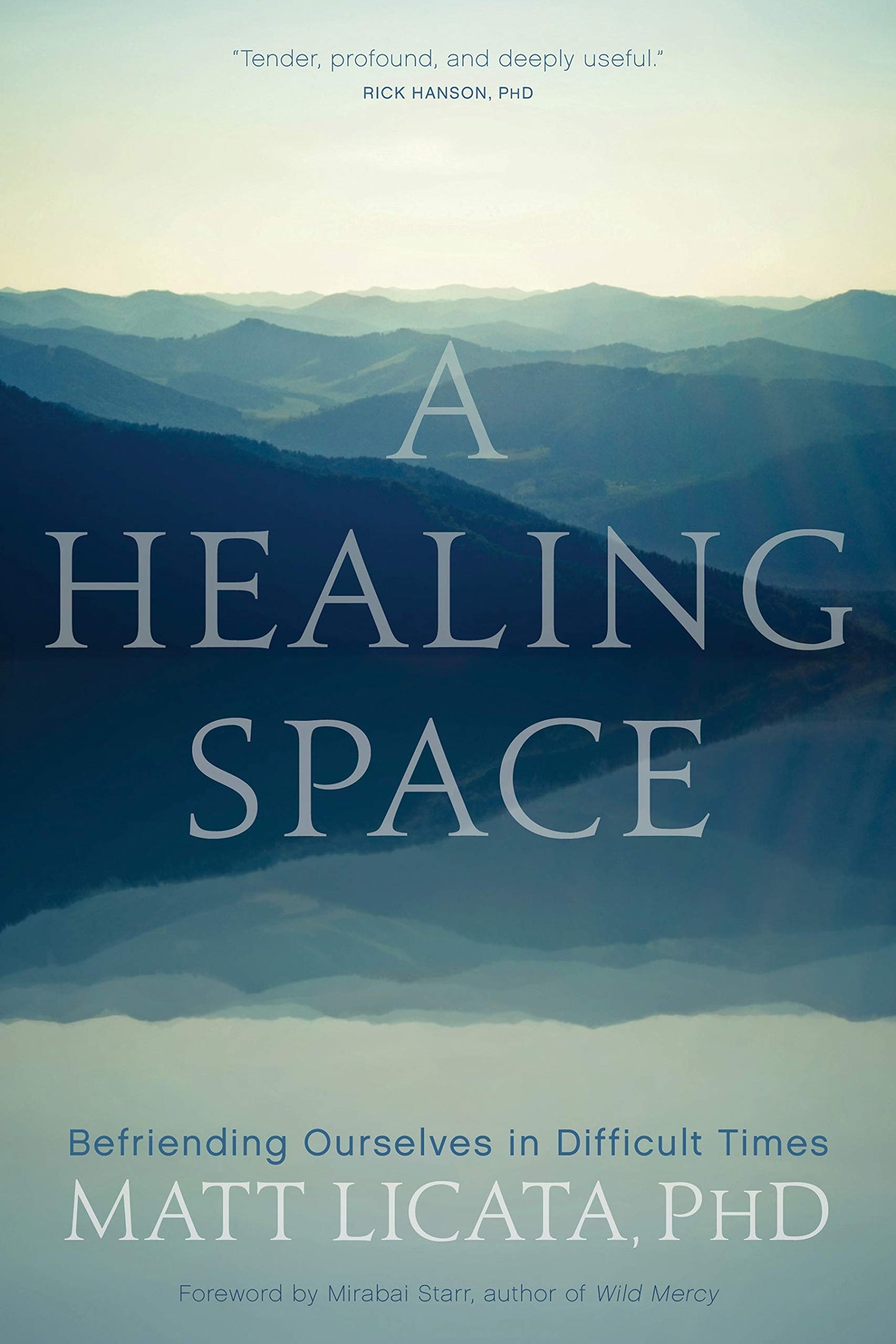 Healing Space: Befriending Ourselves in Difficult Times book cover
