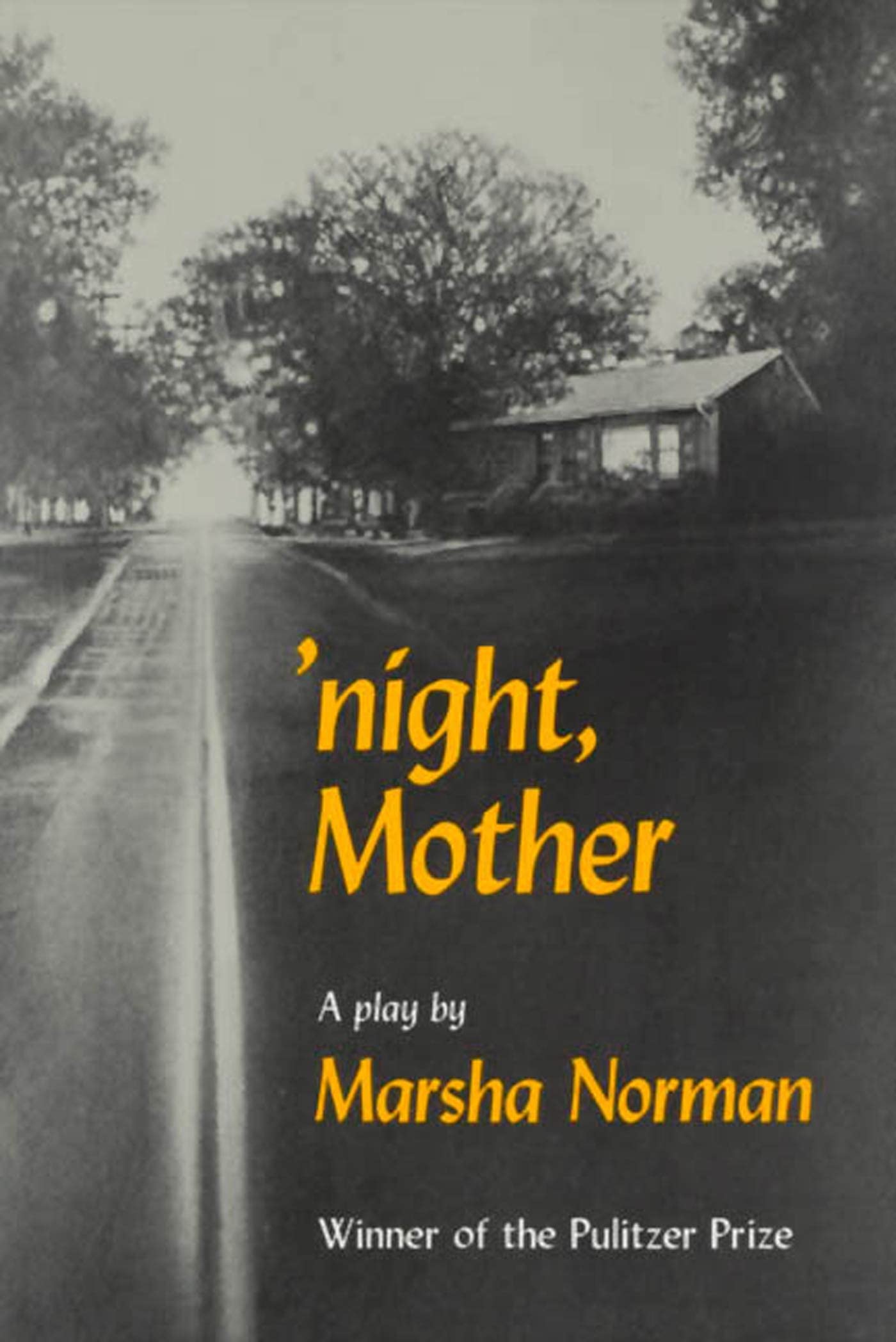 Night, Mother: A Play book cover