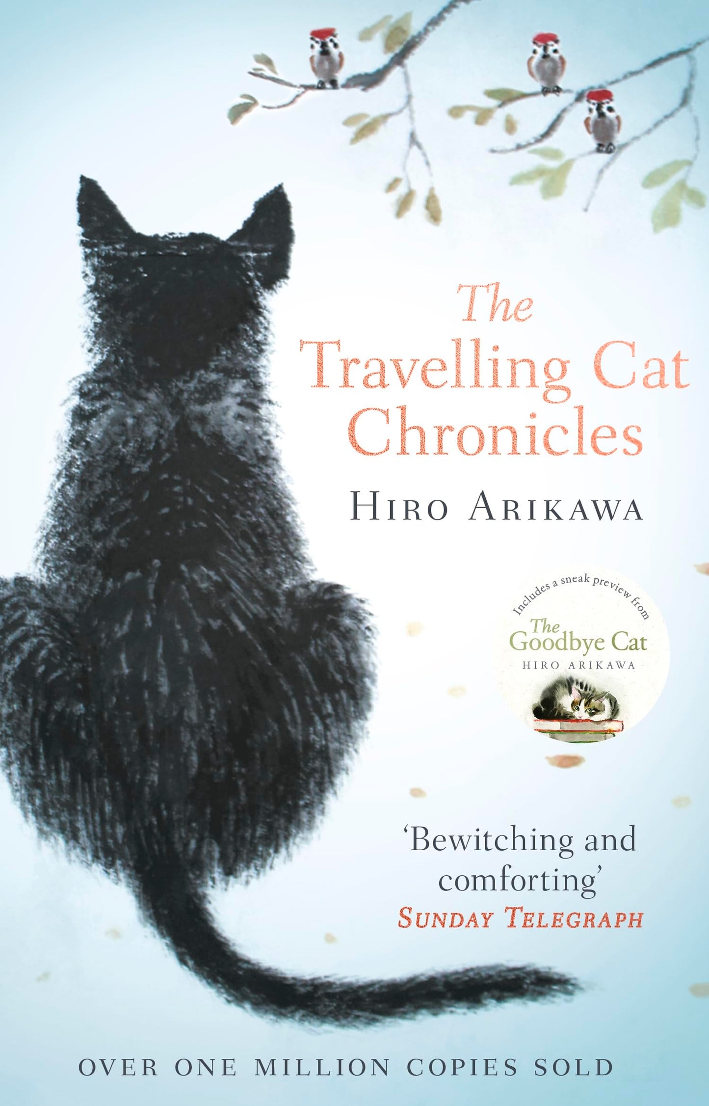 Travelling Cat Chronicles: The life-affirming one million copy bestseller