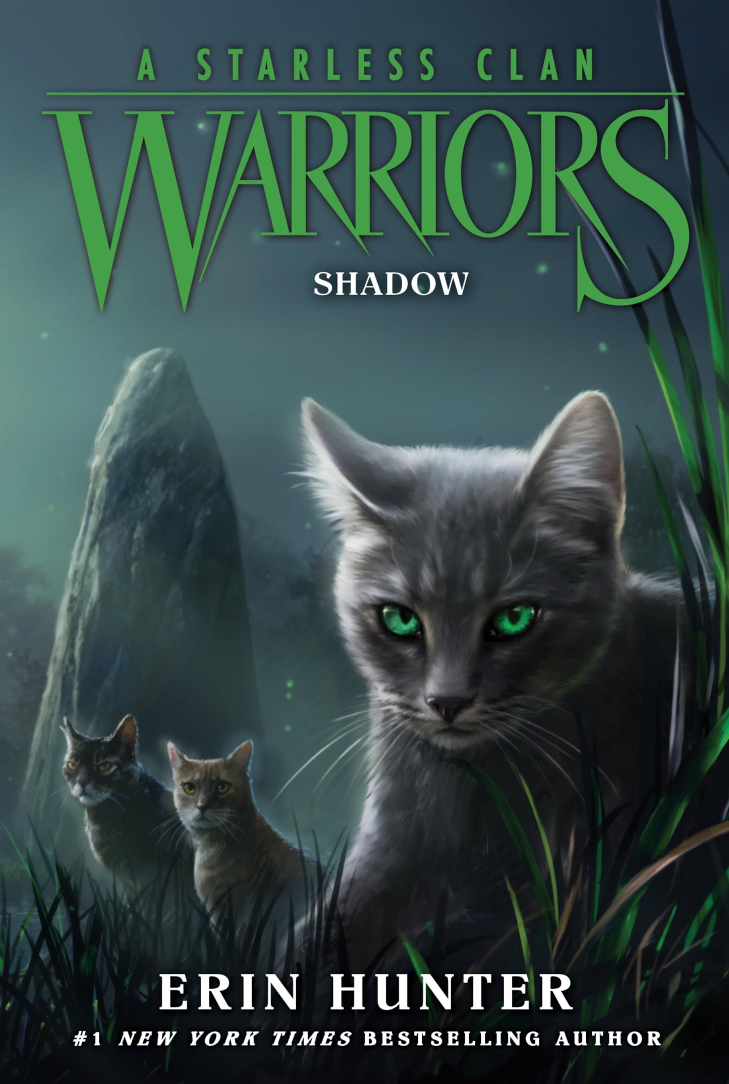 Shadow book cover