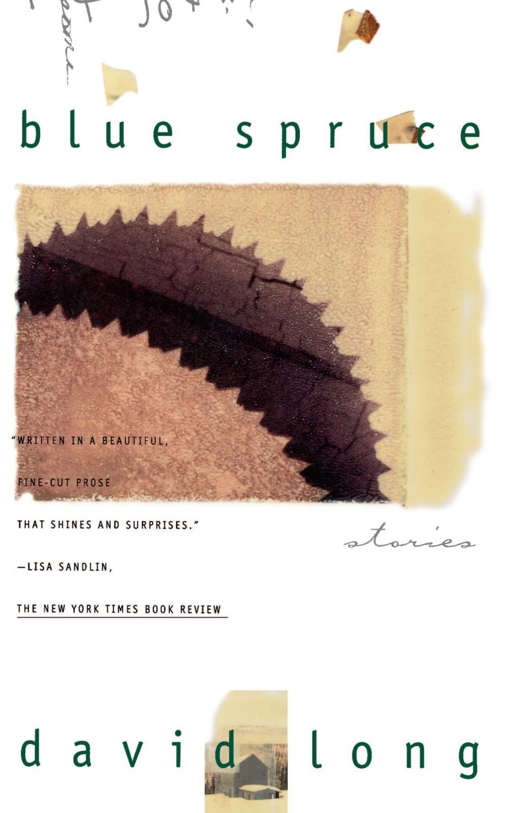 Blue Spruce: Stories book cover