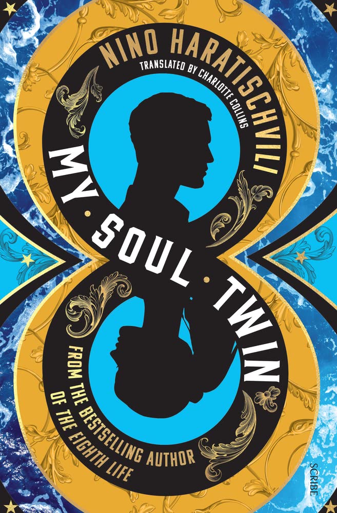 My Soul Twin book cover