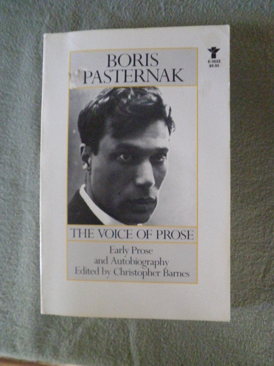 Voice of Prose book cover