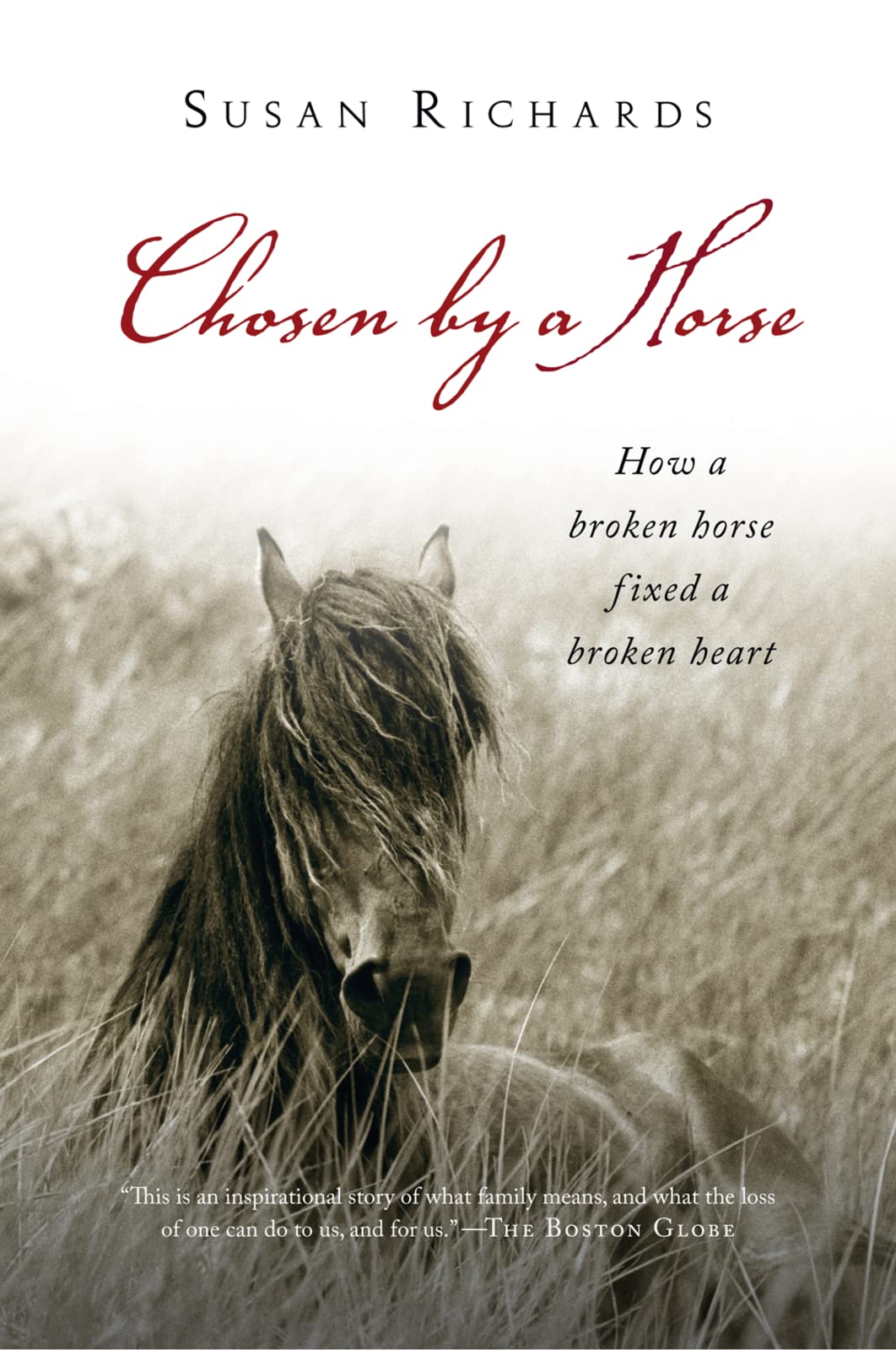 Chosen by a Horse book cover