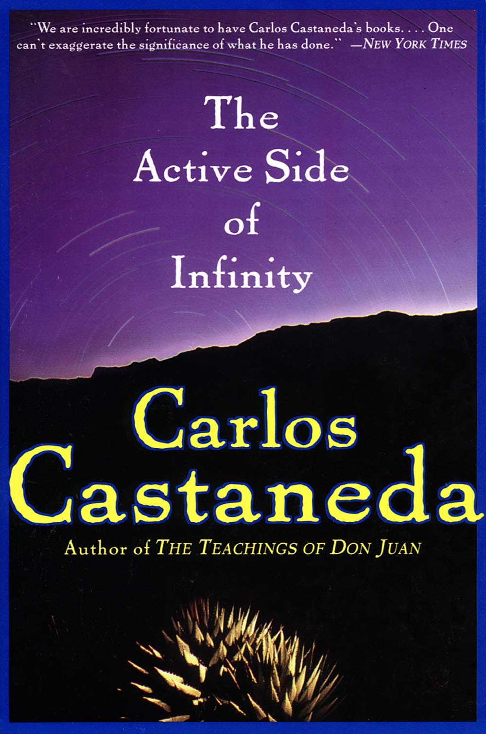 Active Side of Infinity book cover