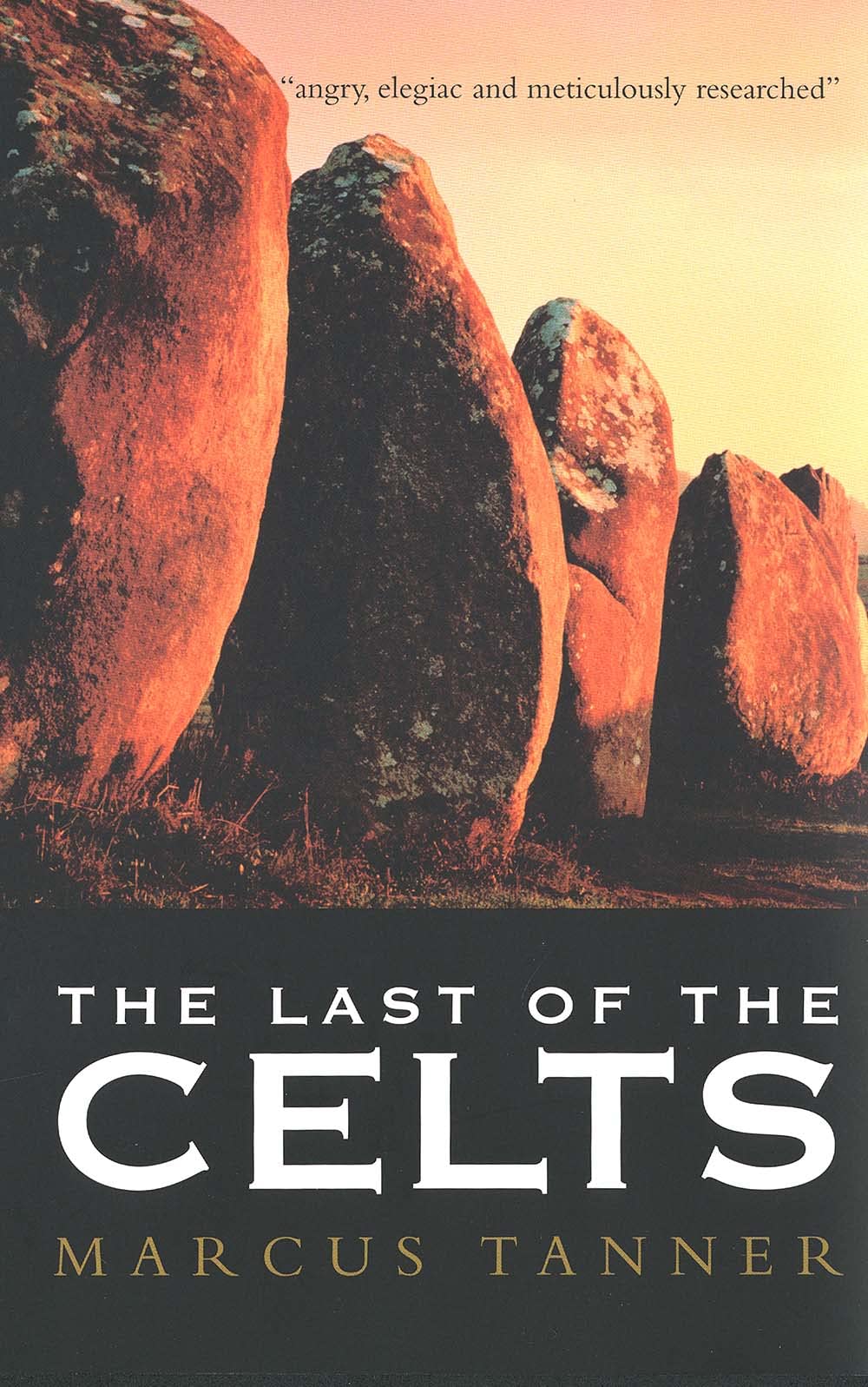Last of the Celts book cover