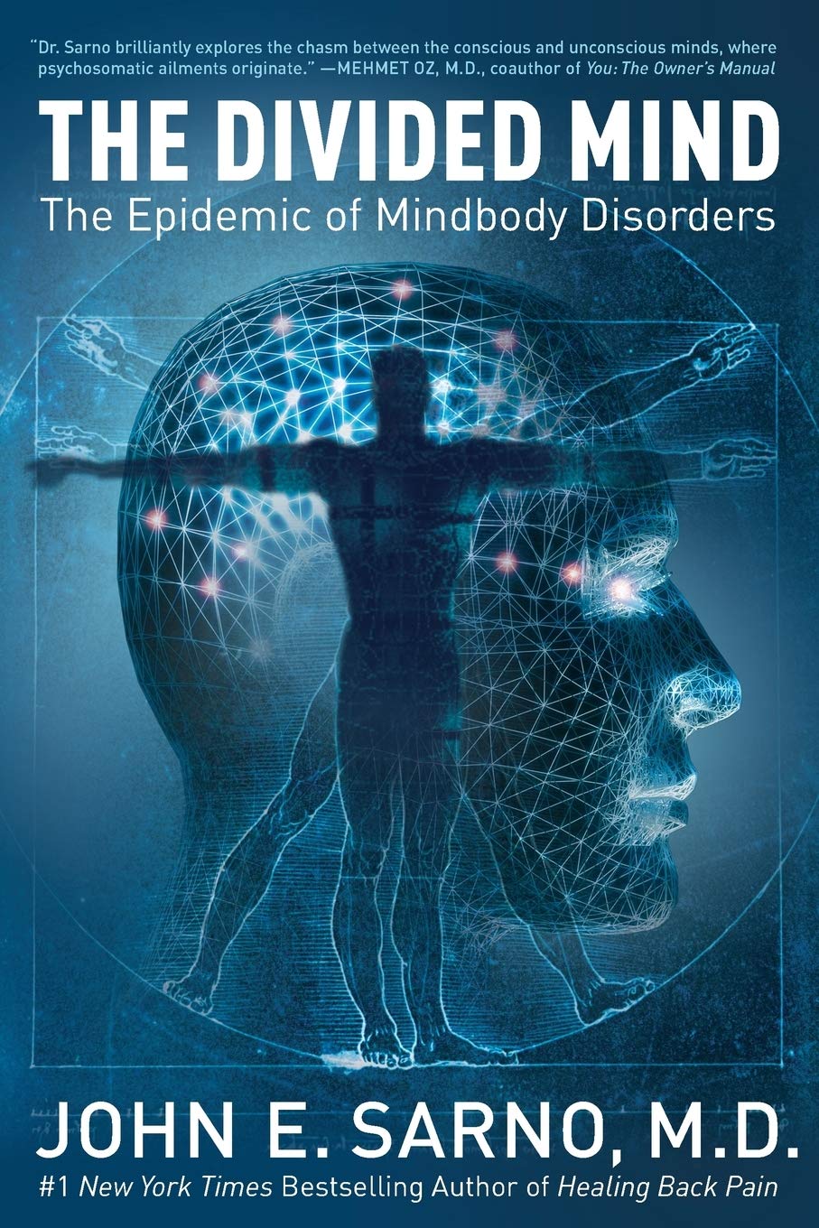 Divided Mind: The Epidemic of Mindbody Disorders book cover