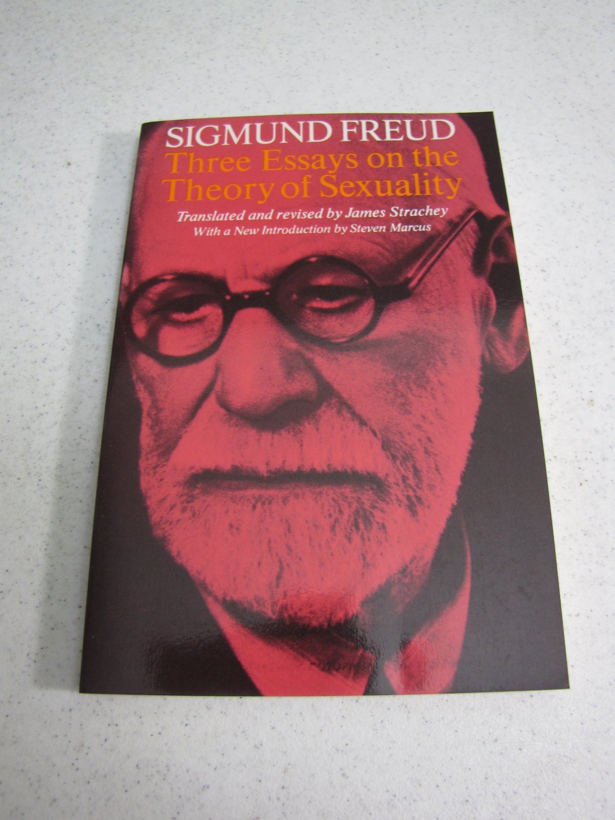 Three Essays on Theory book cover
