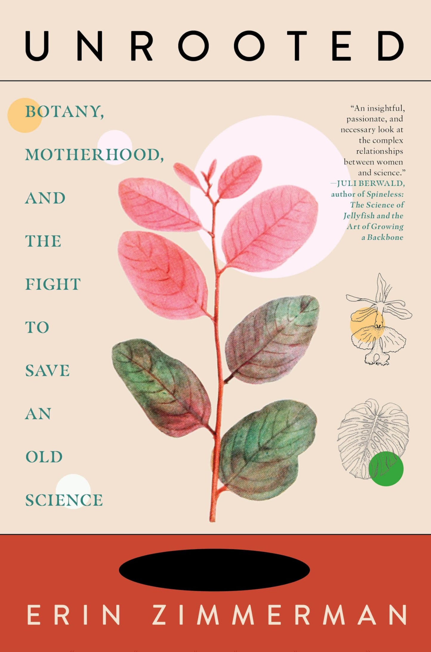 Unrooted book cover