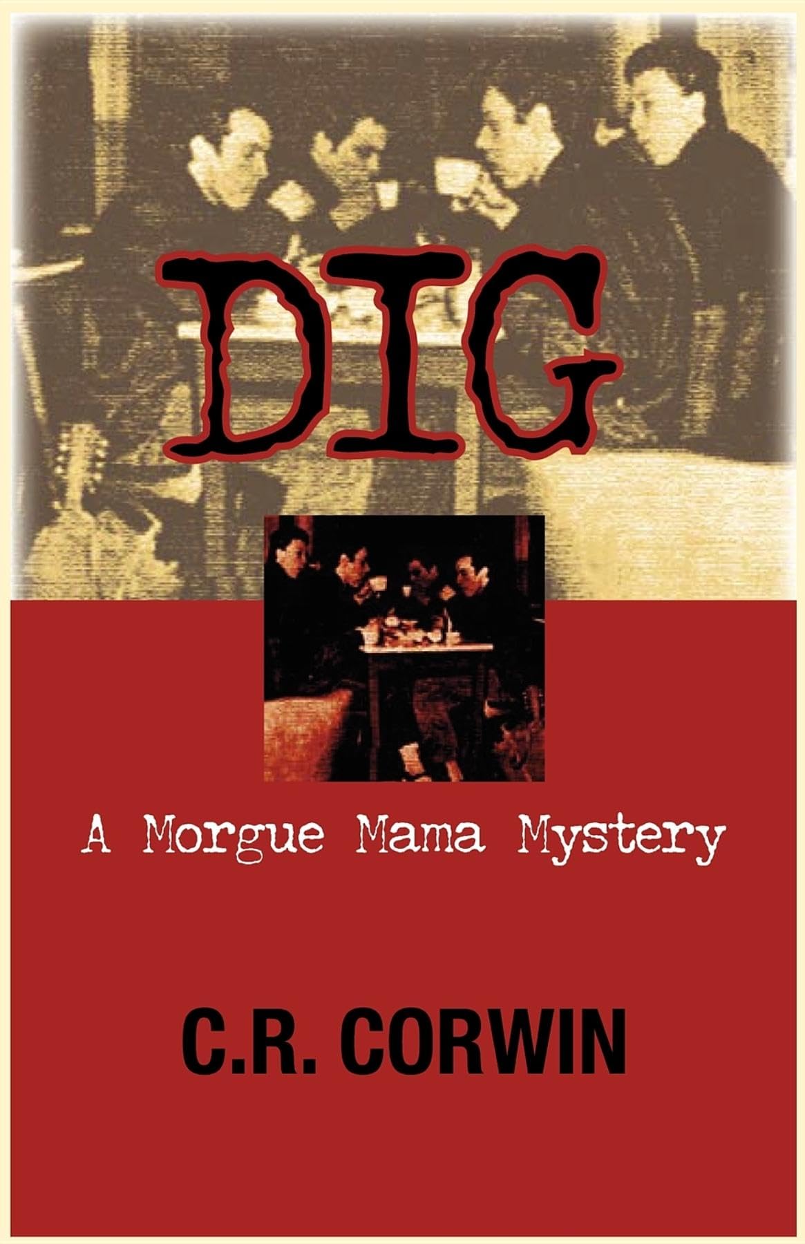 Dig book cover