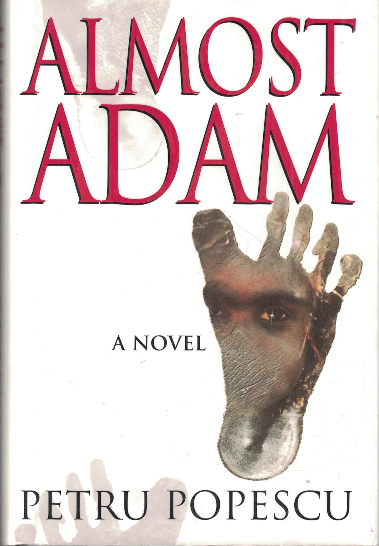 Almost Adam book cover