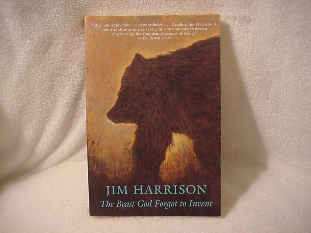 Beast God Forgot to Invent book cover