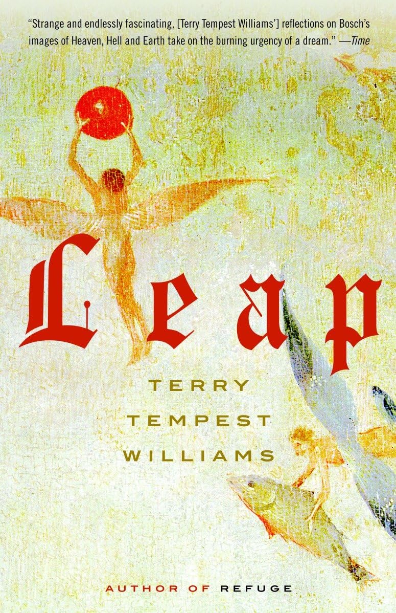 Leap book cover