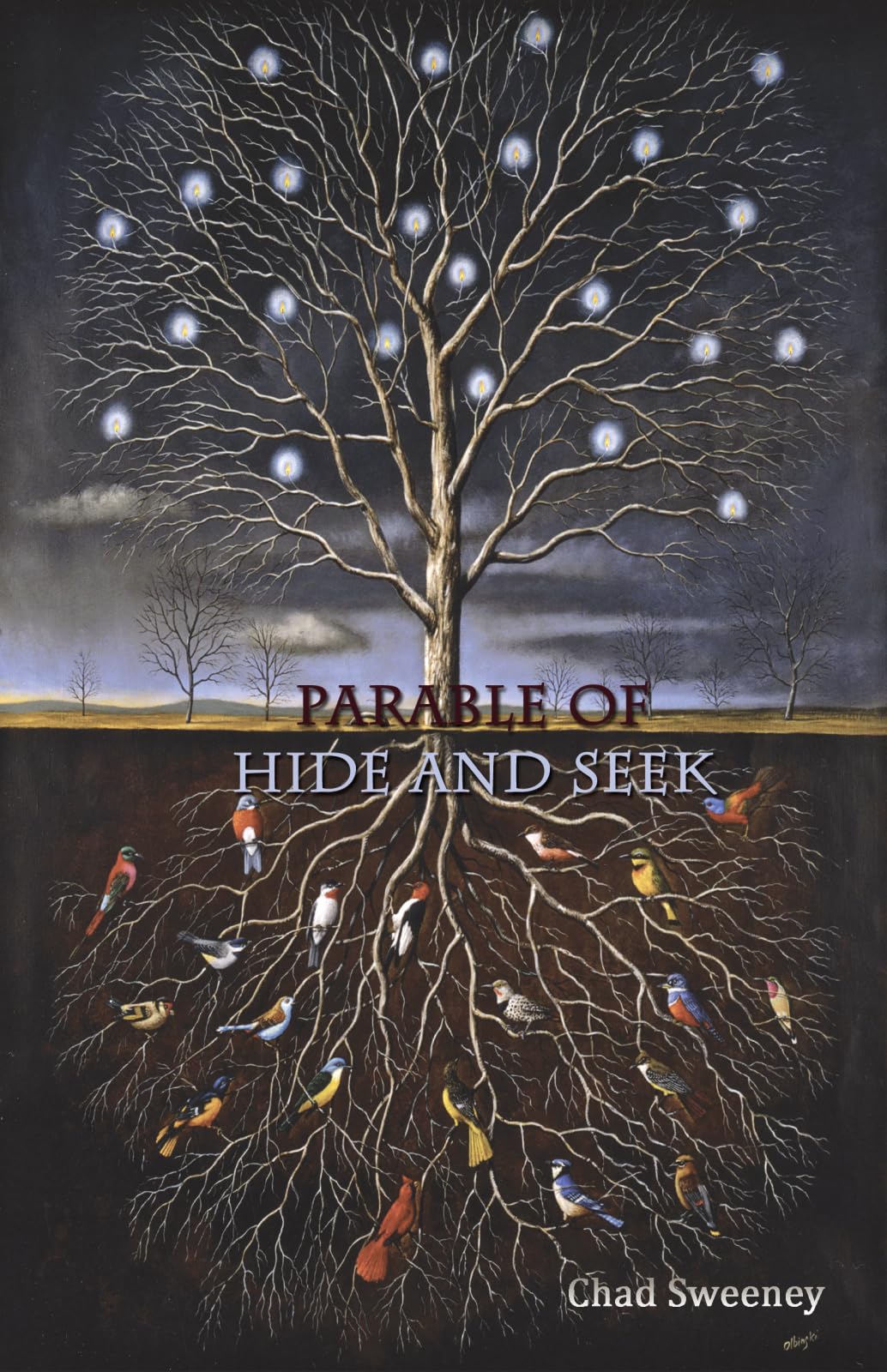 Parable of Hide and Seek book cover