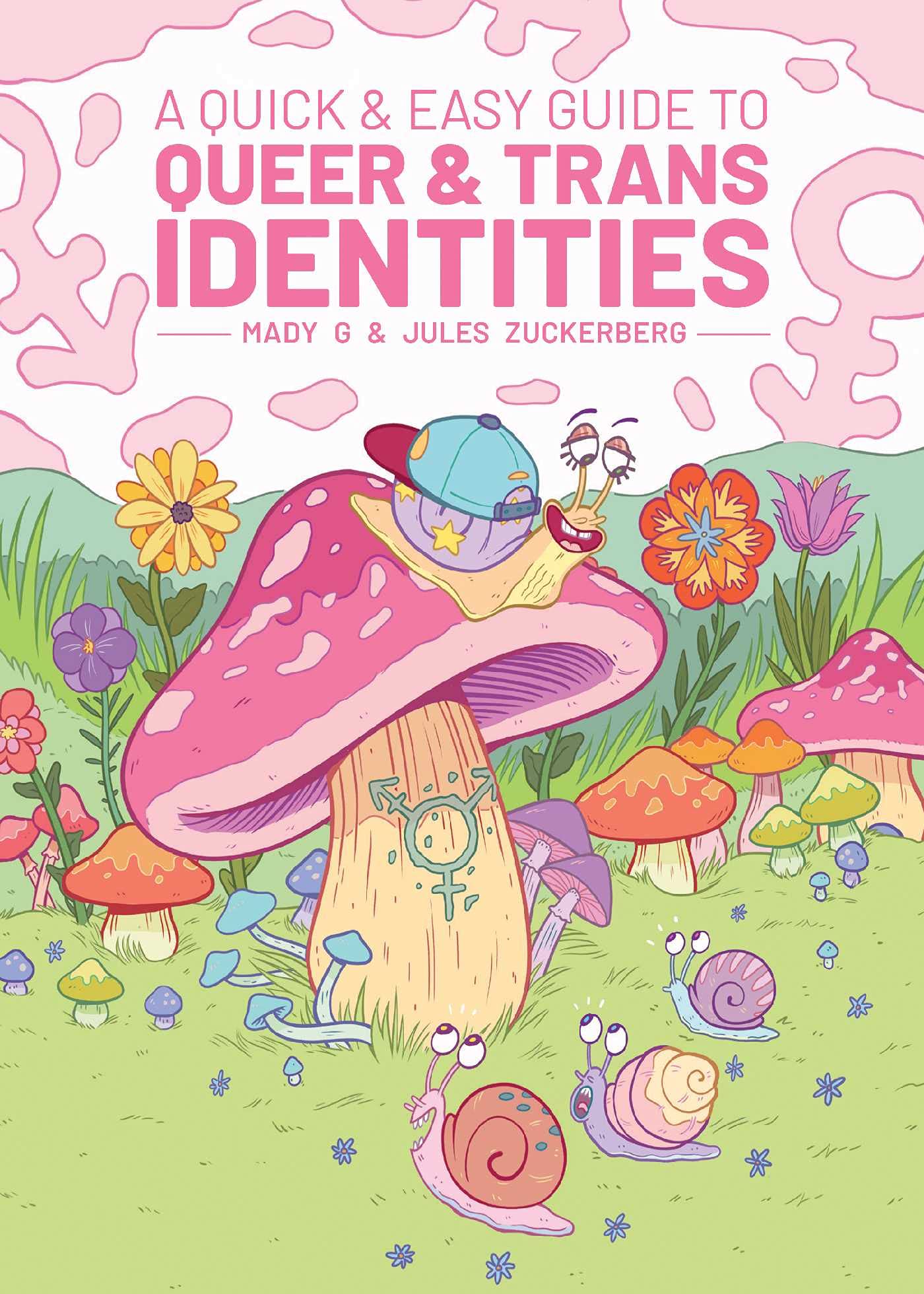 Quick & Easy Guide to Queer & Trans Identities book cover