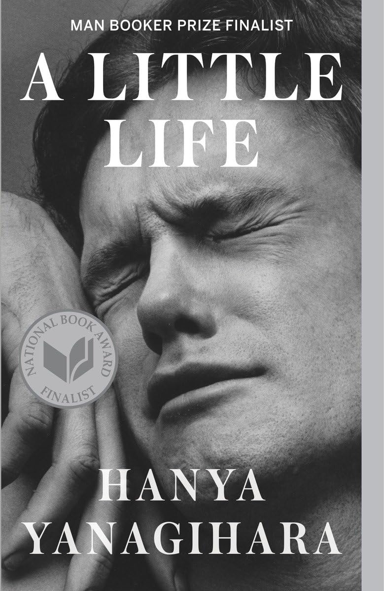 Little Life book cover