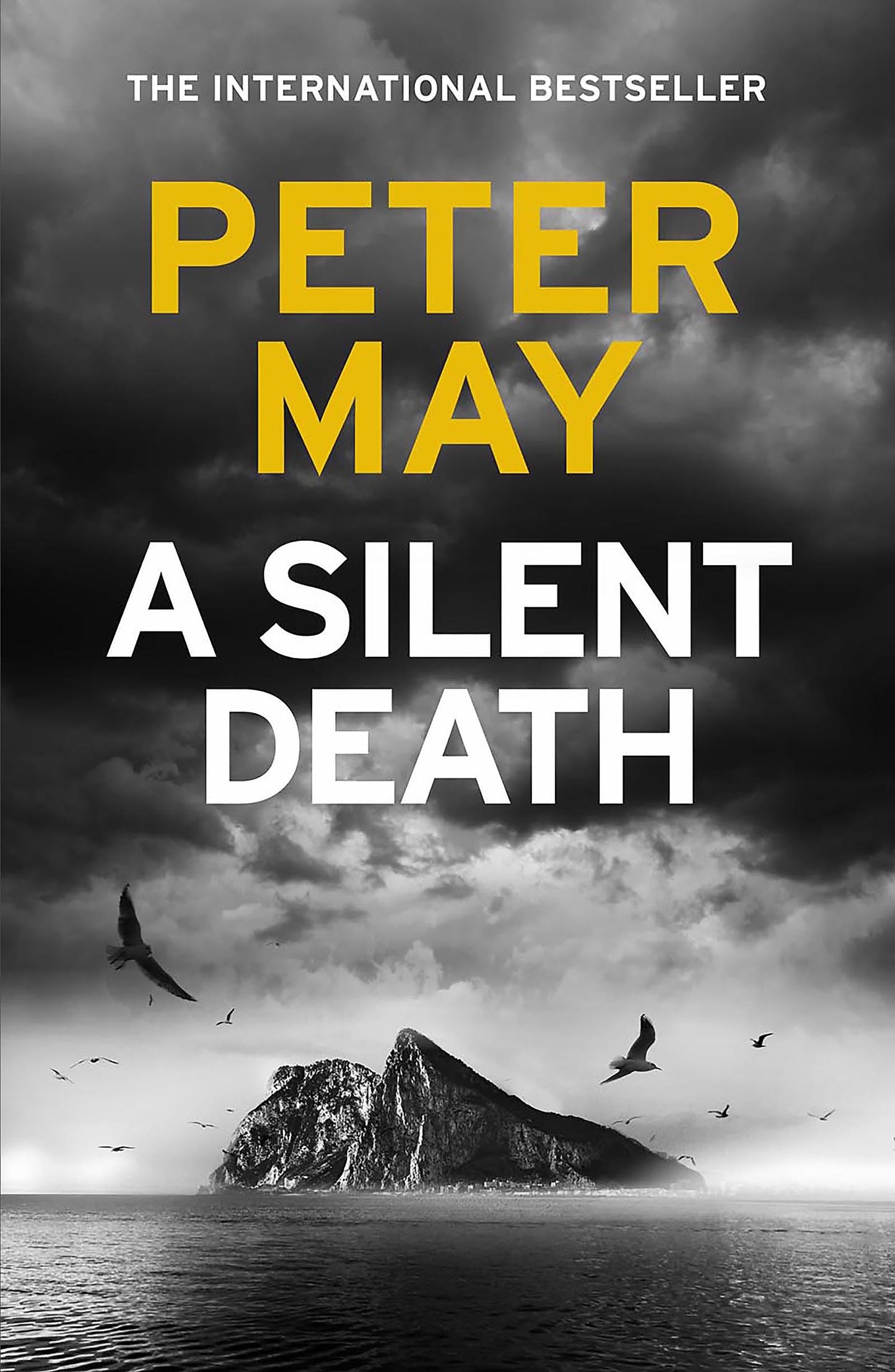 Silent Death book cover