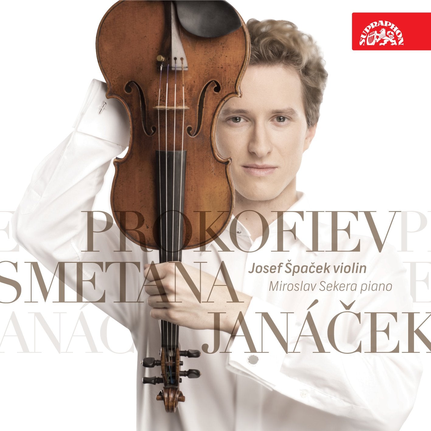 Works for Violin book cover