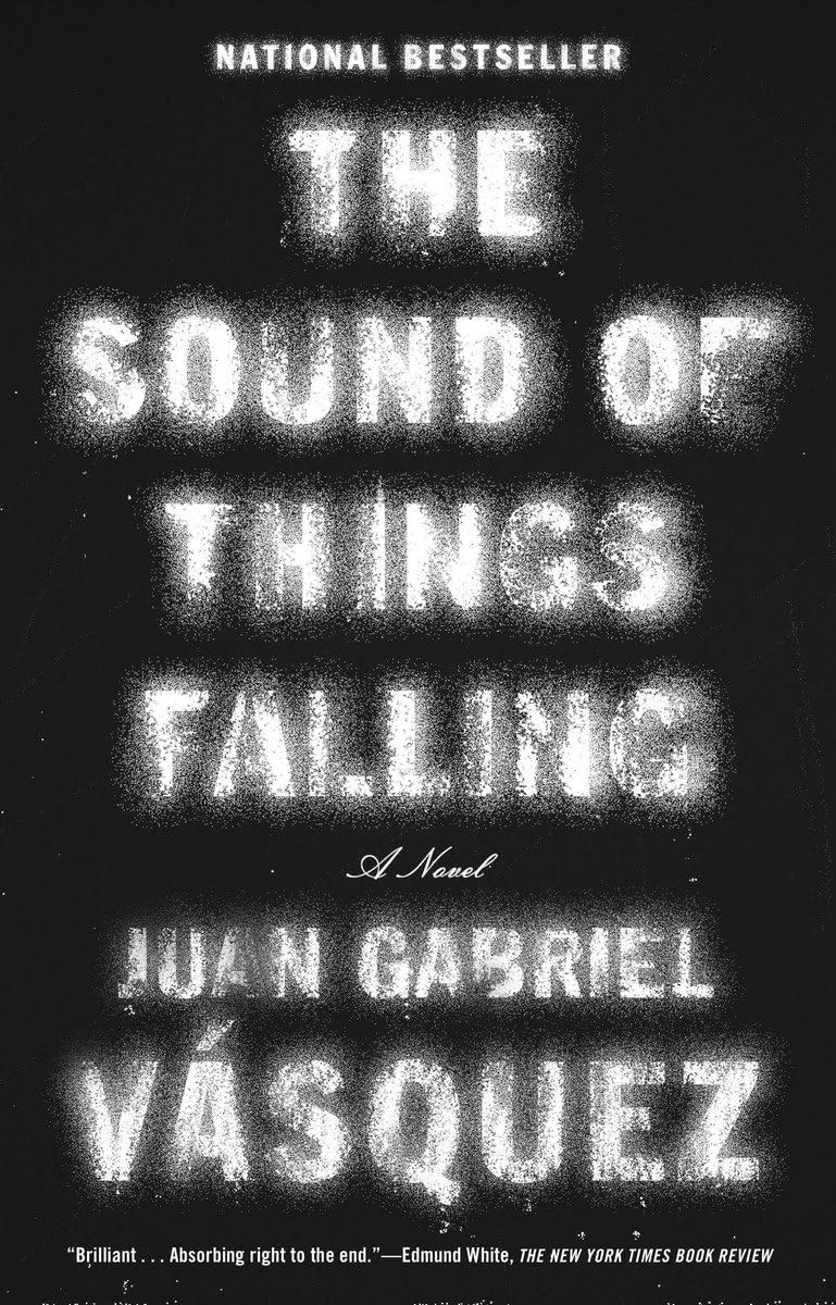 Sound of Things Falling book cover