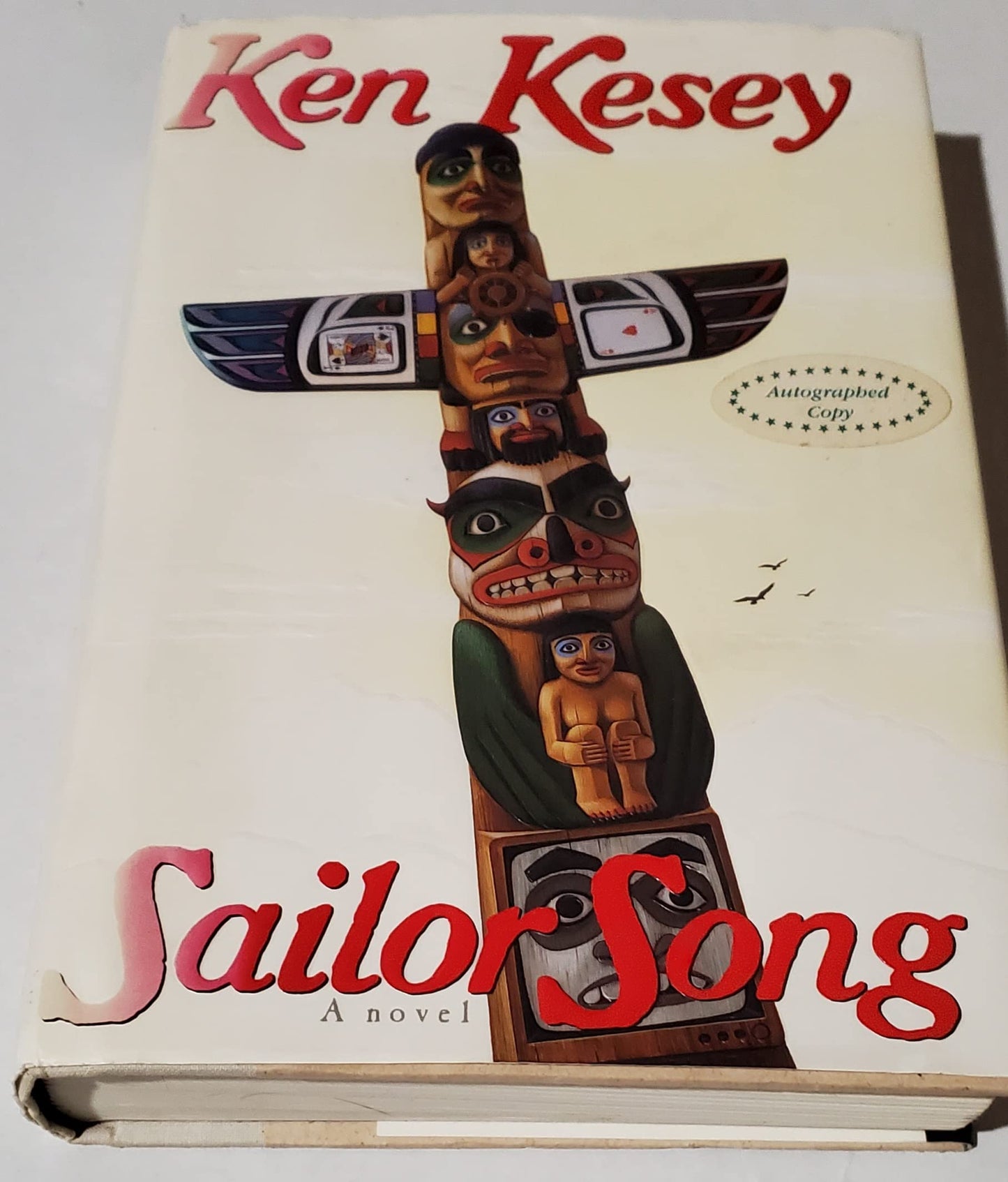 Sailor Song book cover