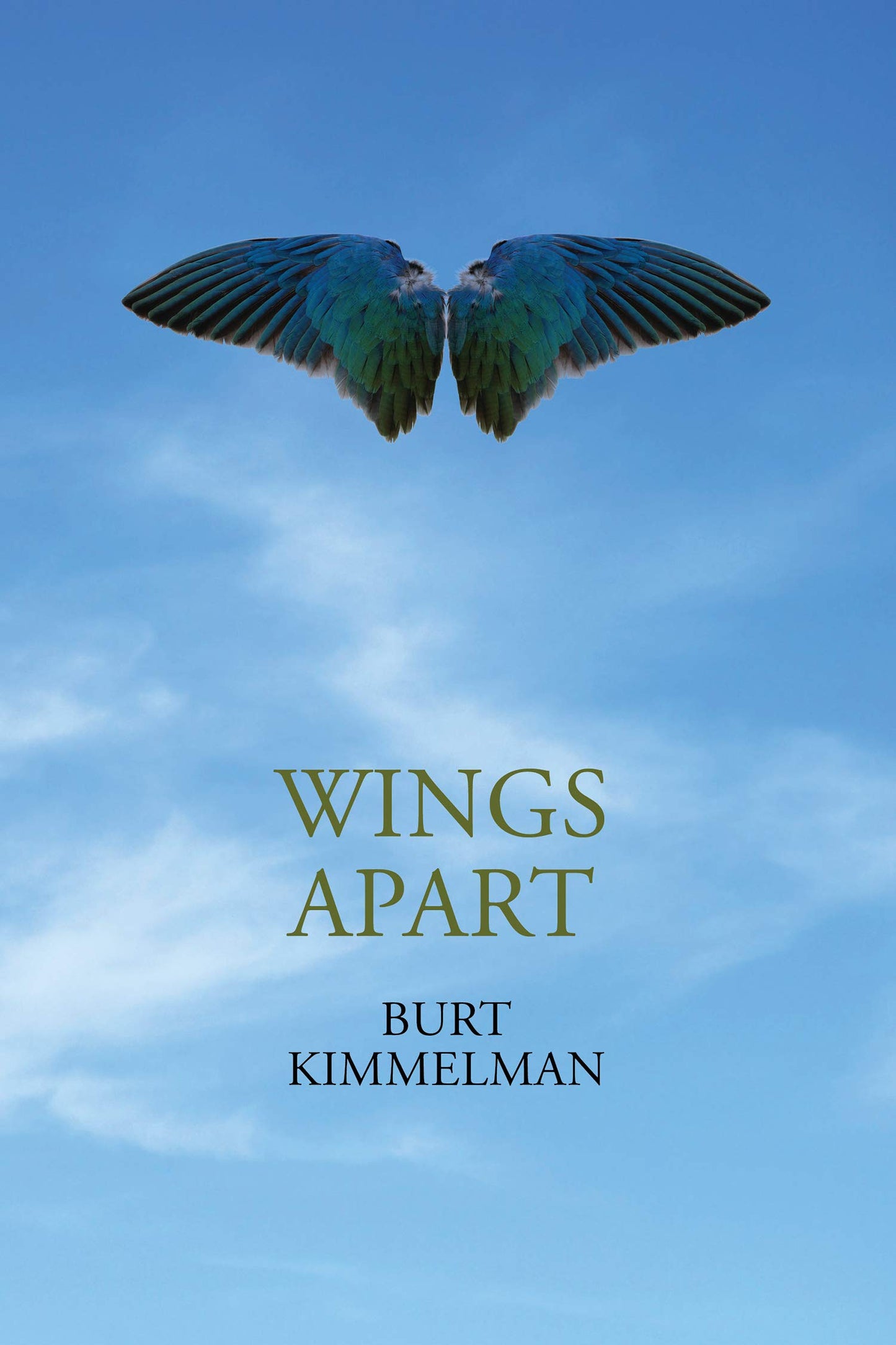 Wings Apart book cover