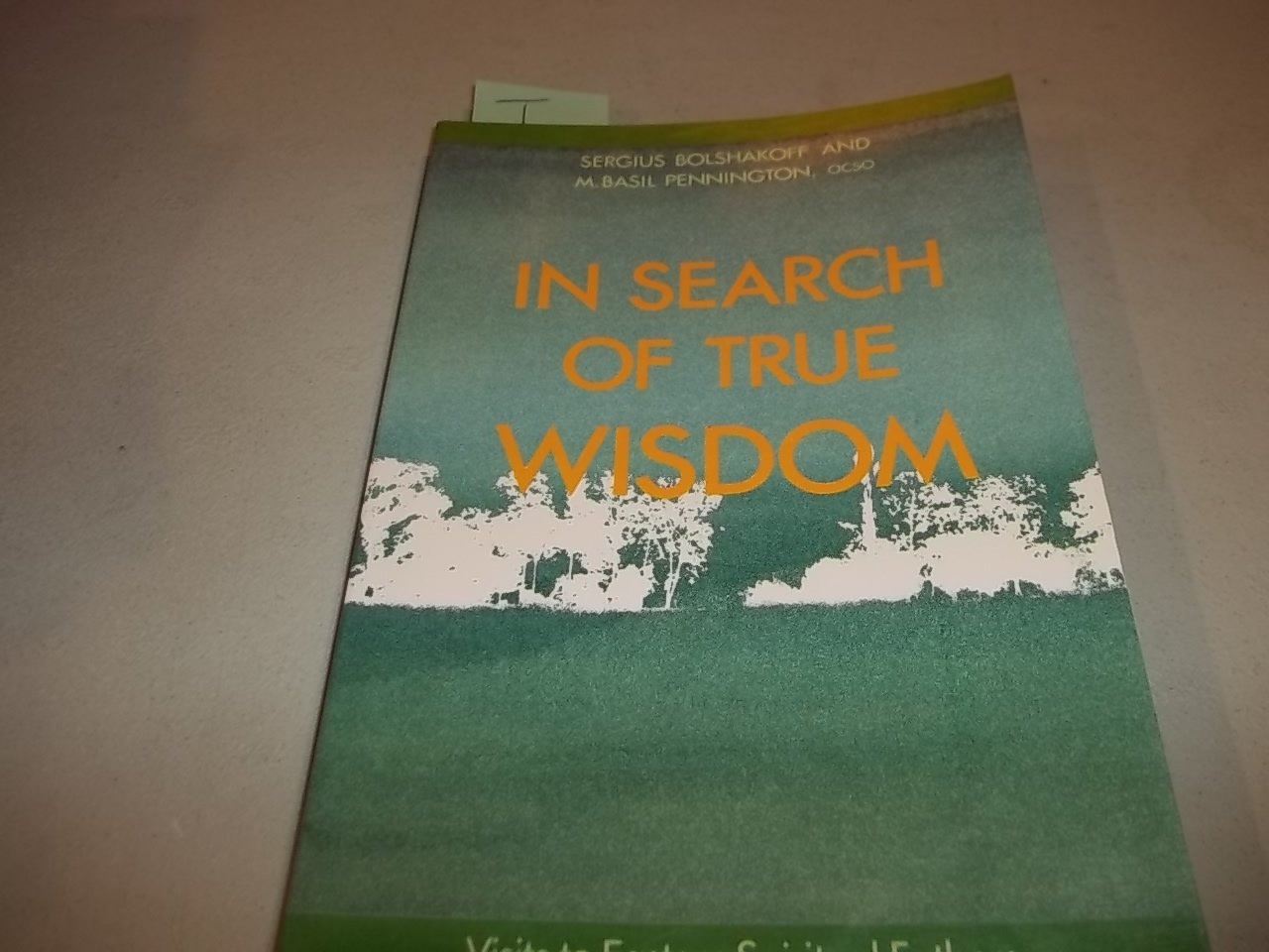 In Search of True Wisdom: Visits to Eastern Spiritual Fathers book cover