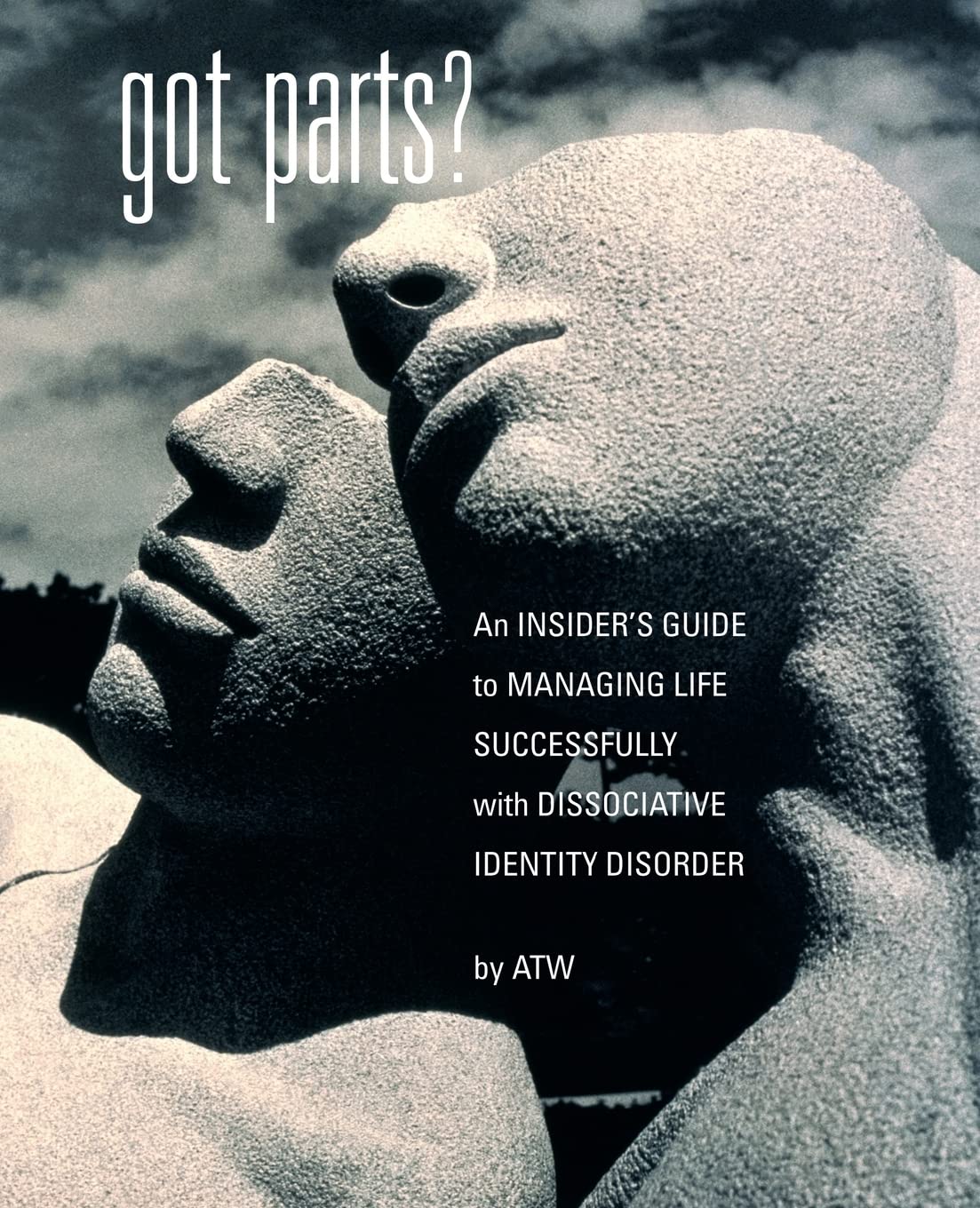 Got Parts?: an Insider's Guide to Managing Life Successfully with Dissociative Identity Disorder book cover