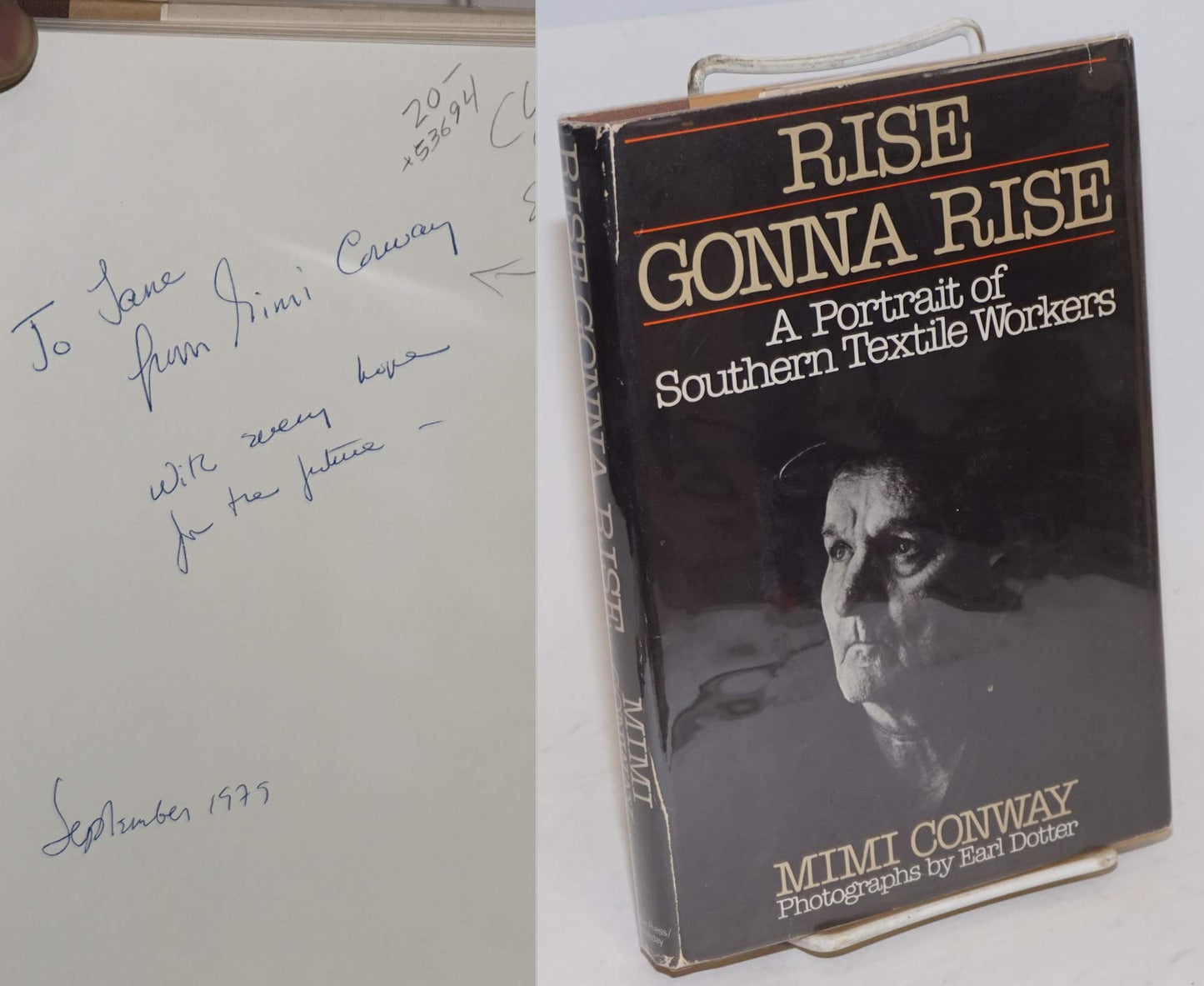 Rise Gonna Rise book cover