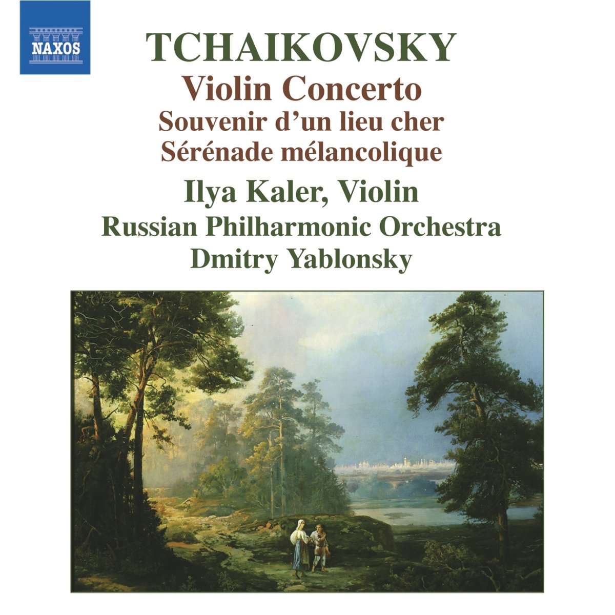 Violin Concerto book cover