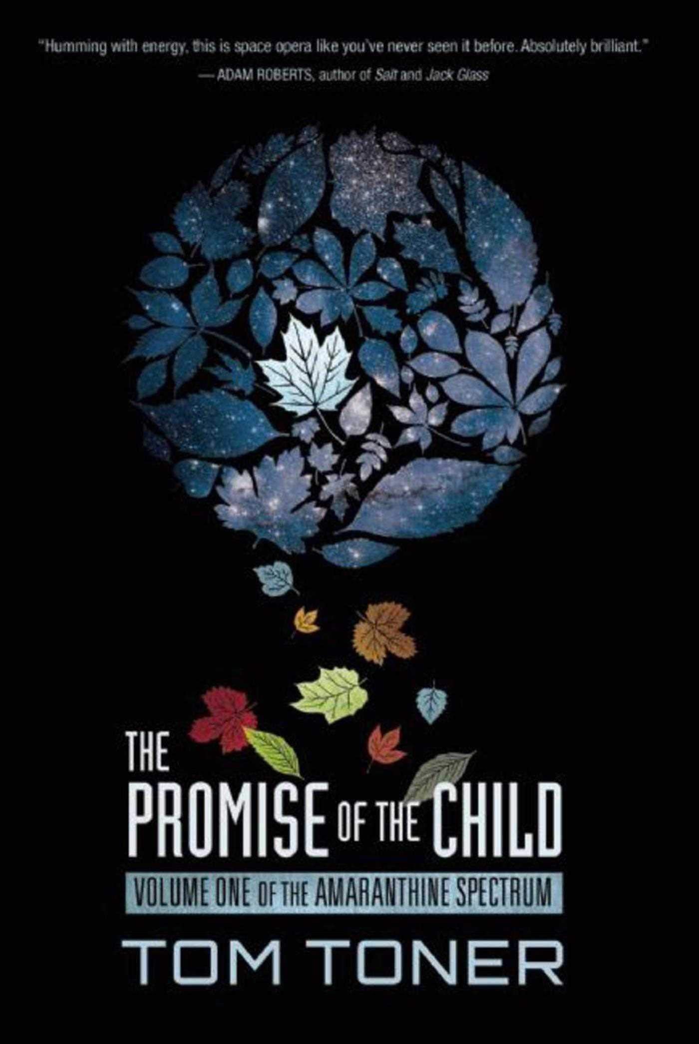 Promise of the Child: Volume One of the Amaranthine Spectrum book cover