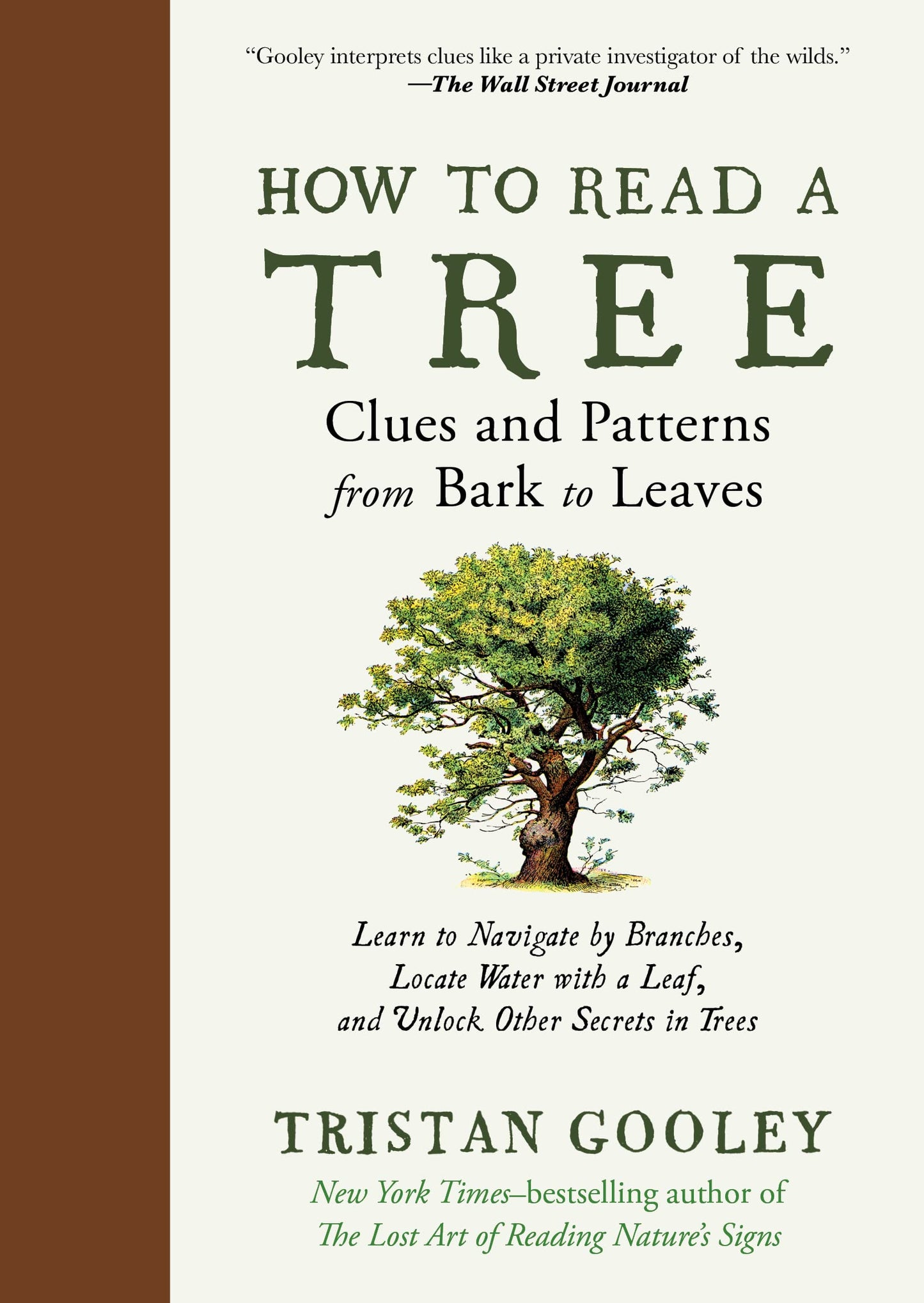 How to Read a Tree: Clues and Patterns from Bark to Leaves book cover