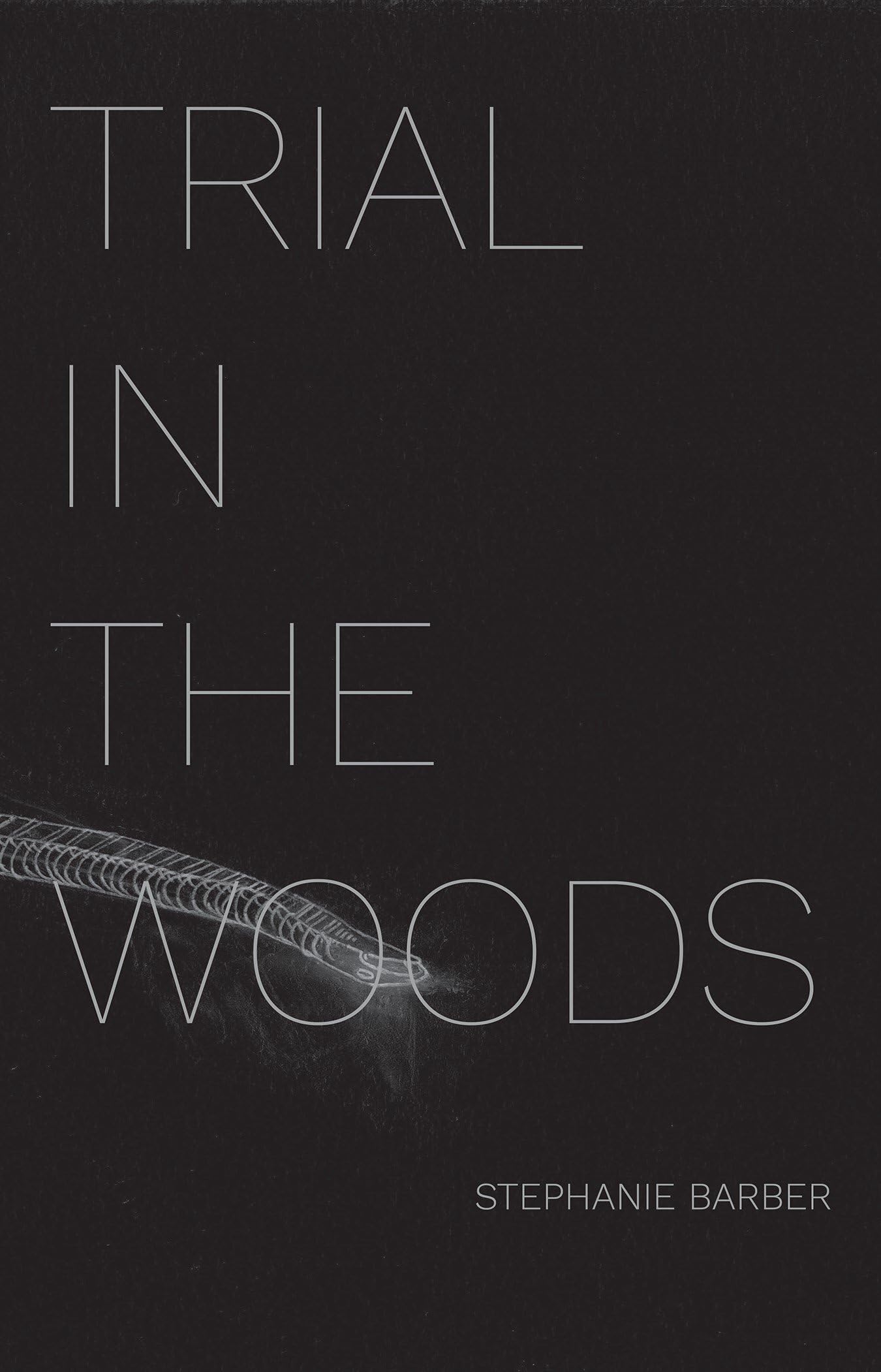 Trial in the Woods book cover