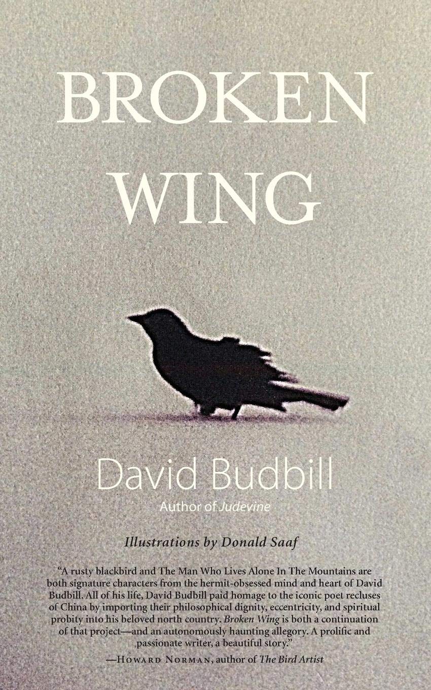 Broken Wing book cover