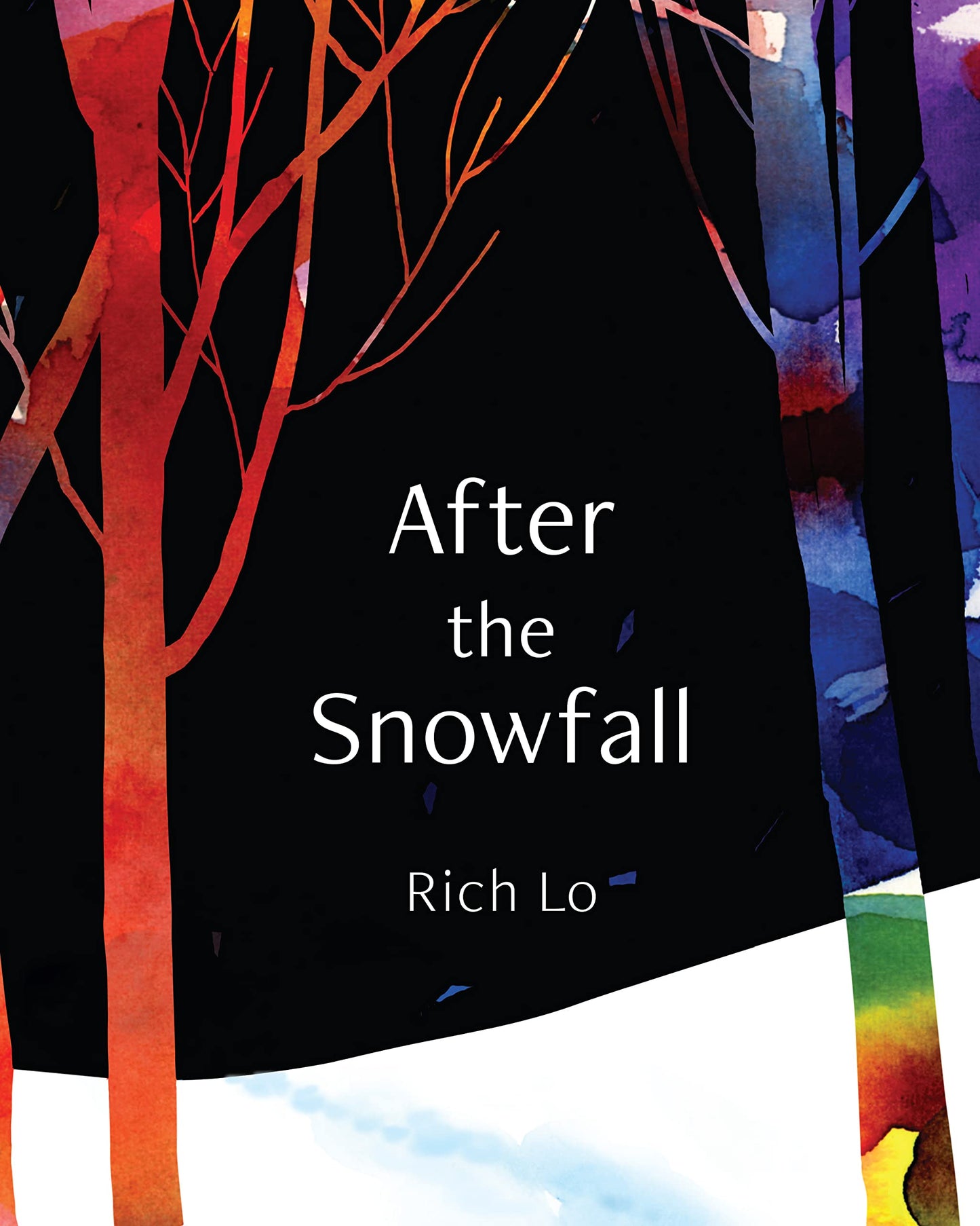 After the Snowfall book cover