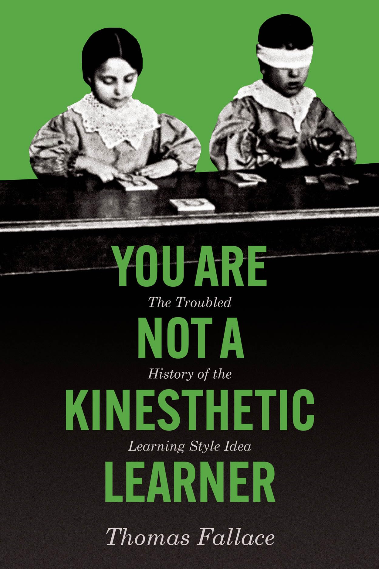 You Are Not a Kinesthetic Learner book cover
