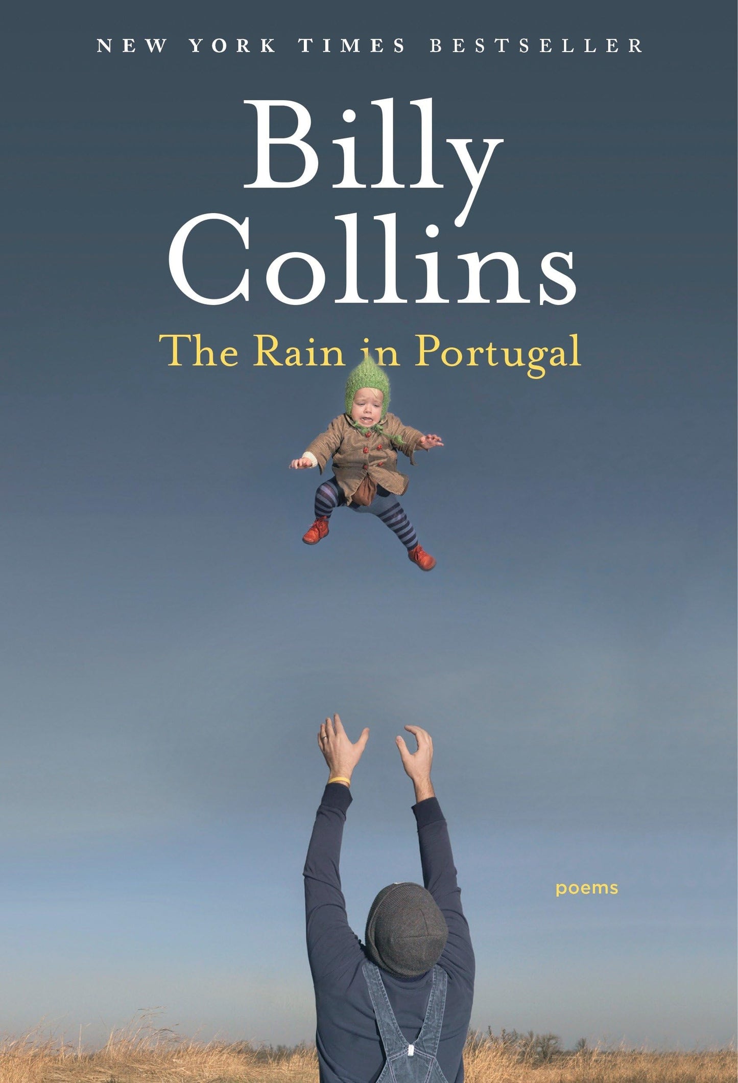 Rain in Portugal: Poems book cover