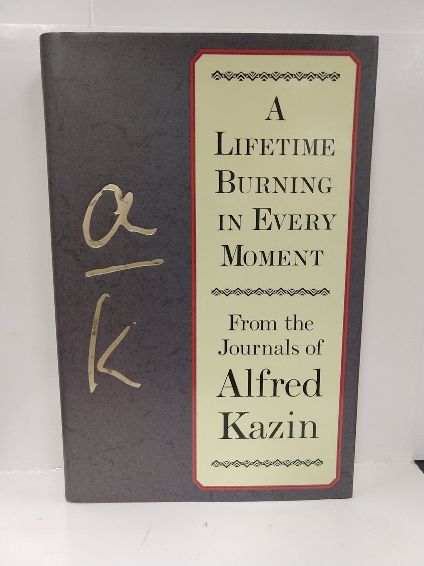 Lifetime Burning in Every Moment: From the Journals of Alfred Kazin book cover