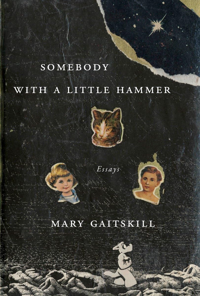 Somebody with a Little Hammer: Essays book cover
