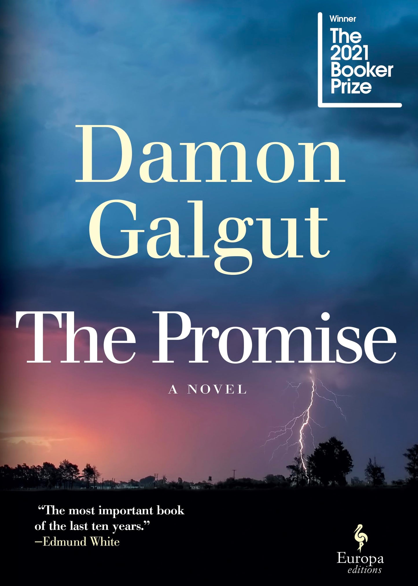 Promise: A Novel (Booker Prize Winner) book cover